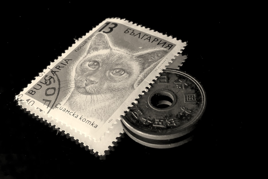 A vintage postage stamp featuring a cat is positioned next to an old coin with a hole in the center. Both items are displayed against a dark background, highlighting their details. The stamp has Bulgarian text and a numeric value, while the coin displays symbols and characters.