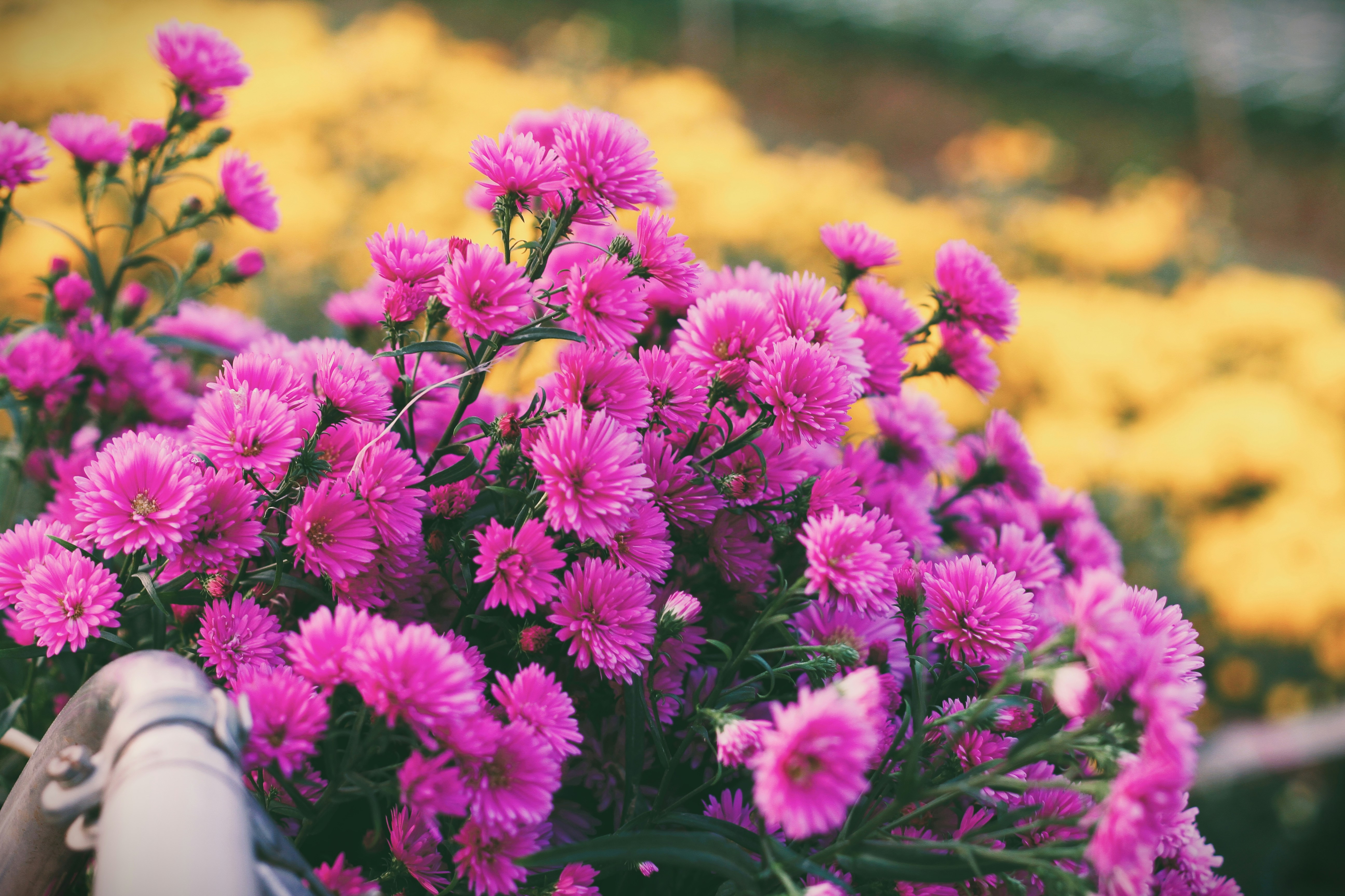 Photo by magicaleye7