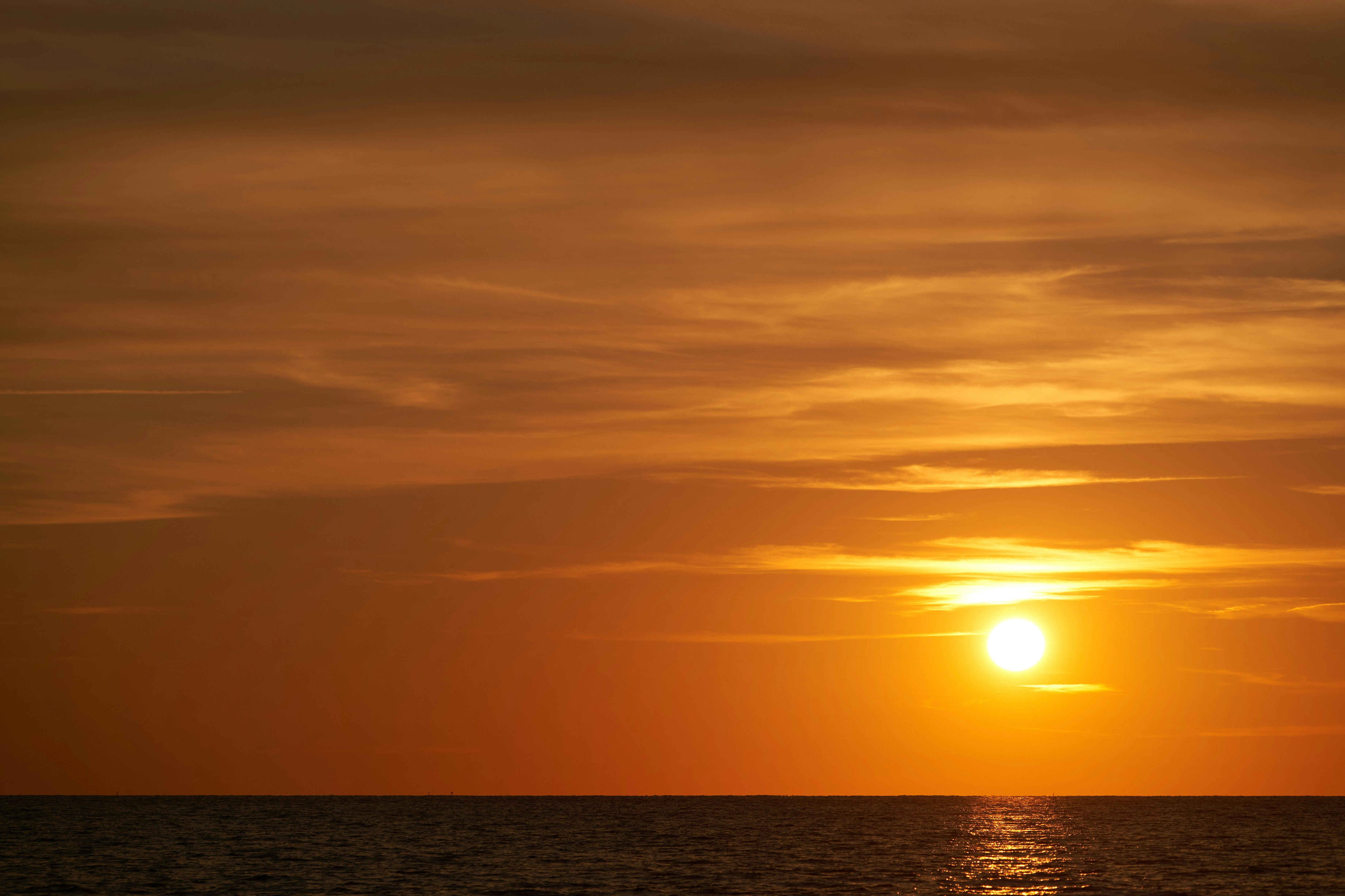 Photo by wolfgang_hasselmann