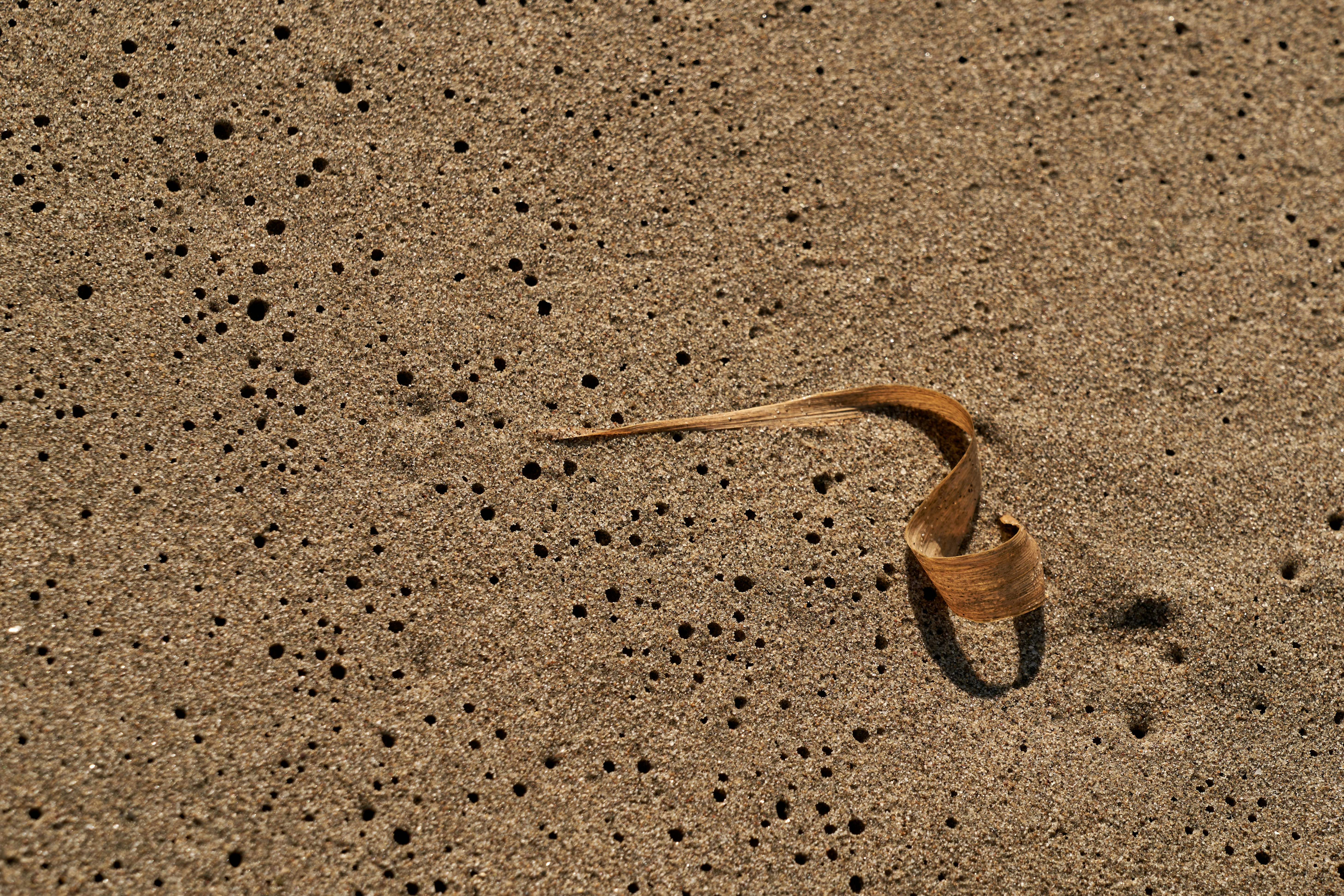 Photo by wolfgang_hasselmann