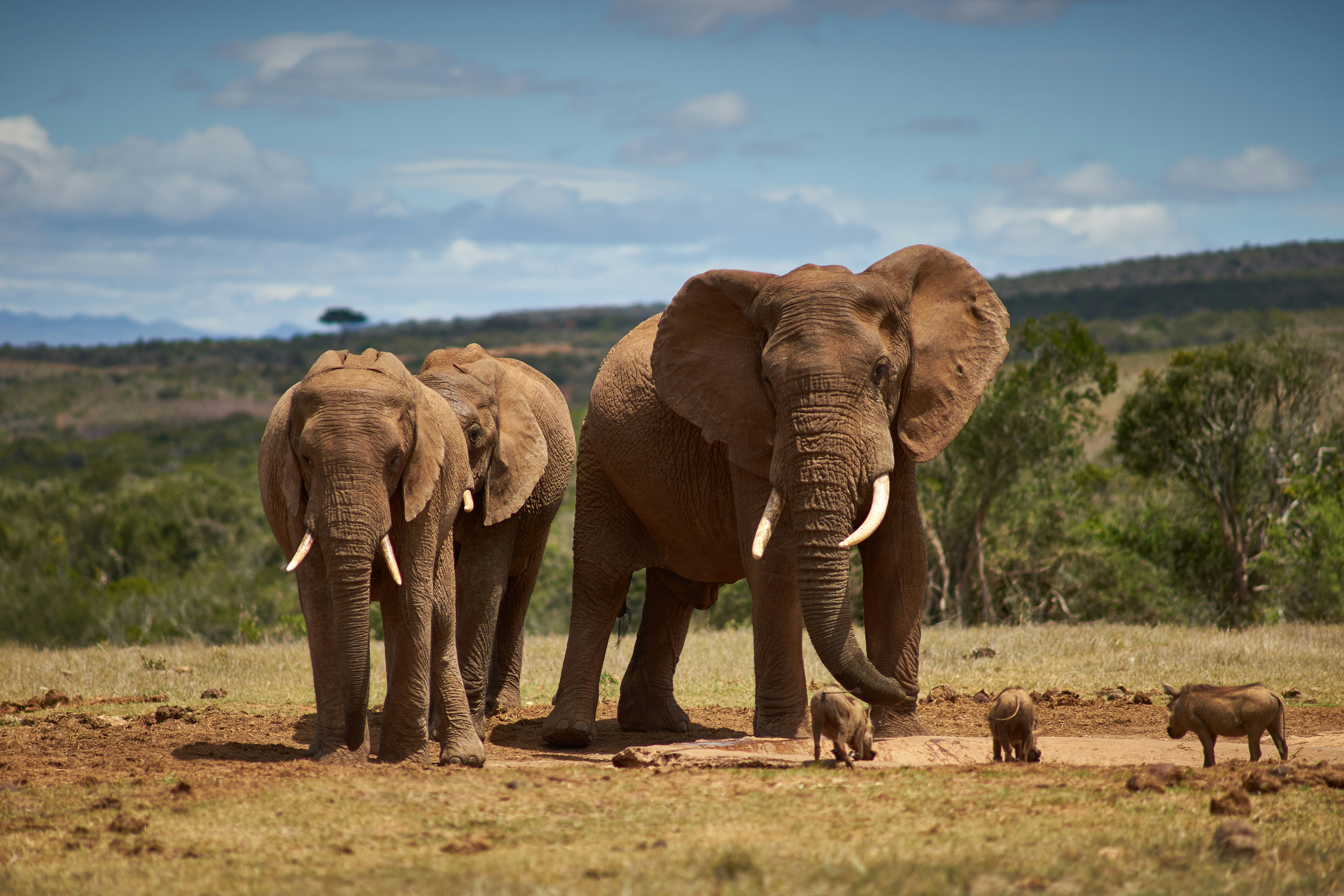 Photo by wolfgang_hasselmann