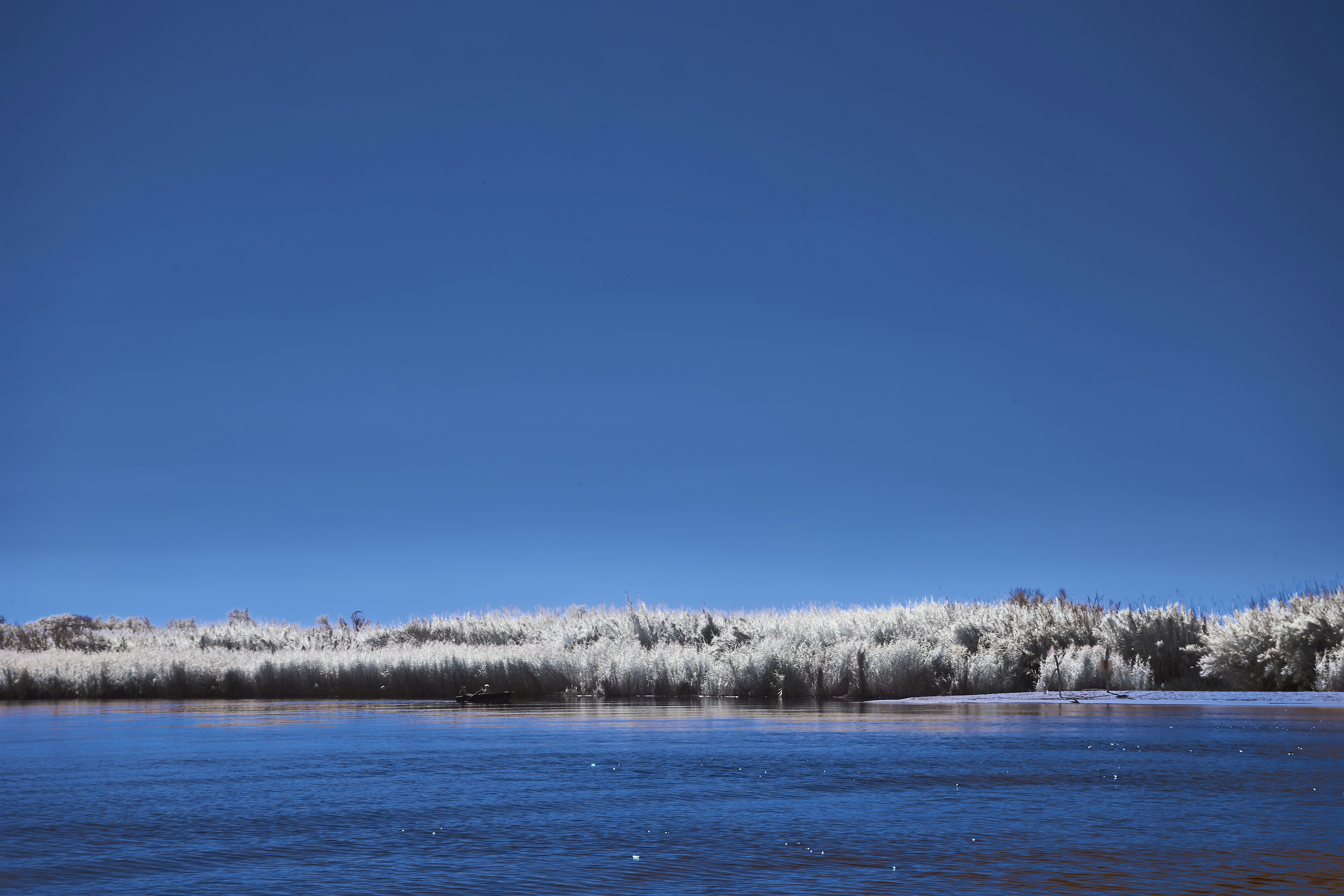 Photo by wolfgang_hasselmann