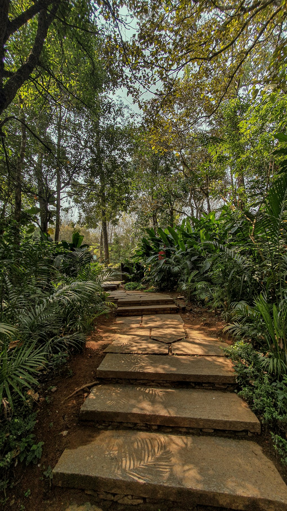 a stone staircase in a forest