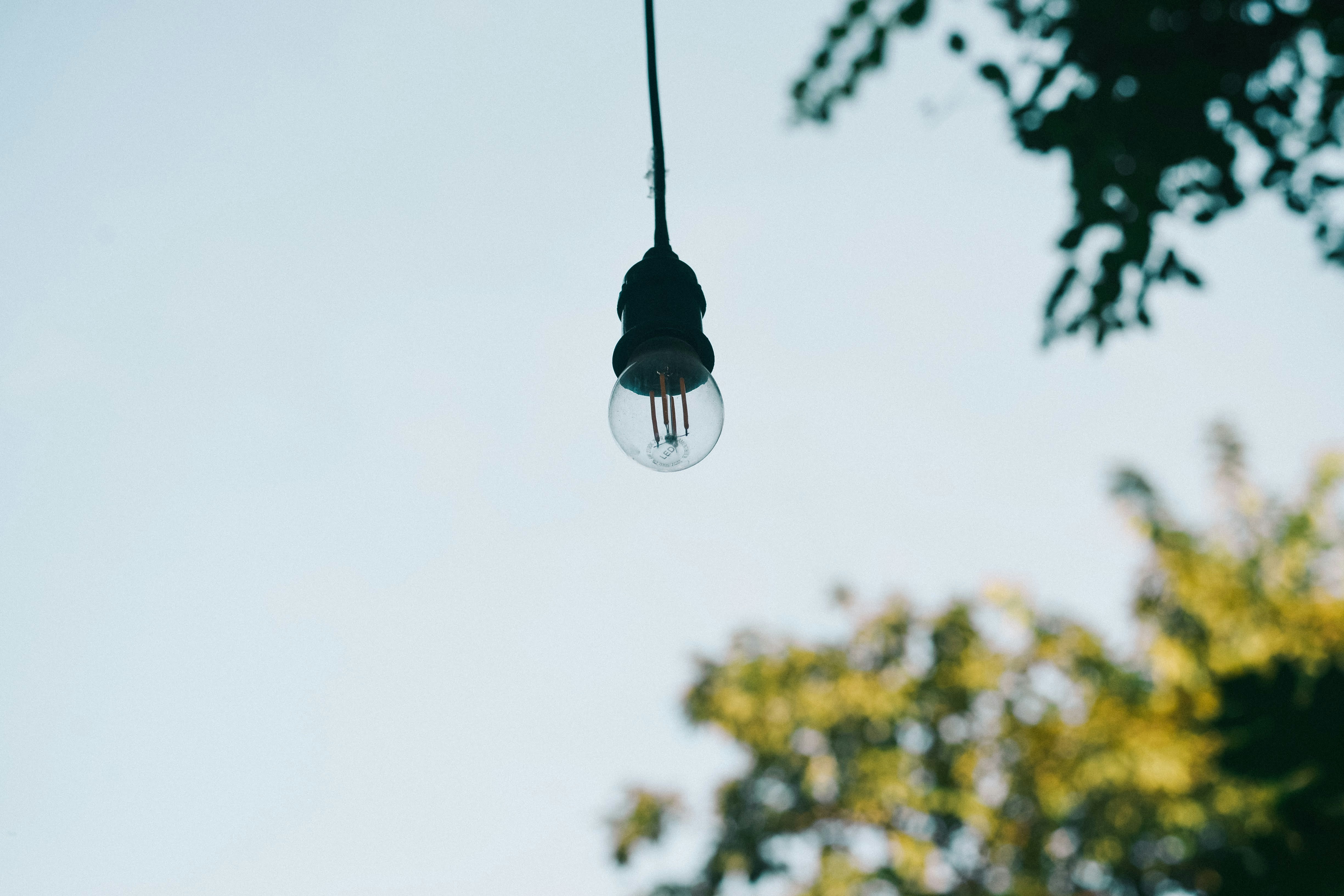 Photo by magicaleye7