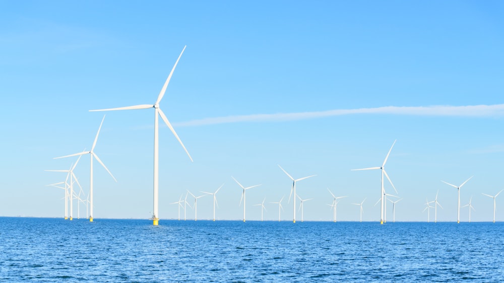 a group of wind turbines in the water