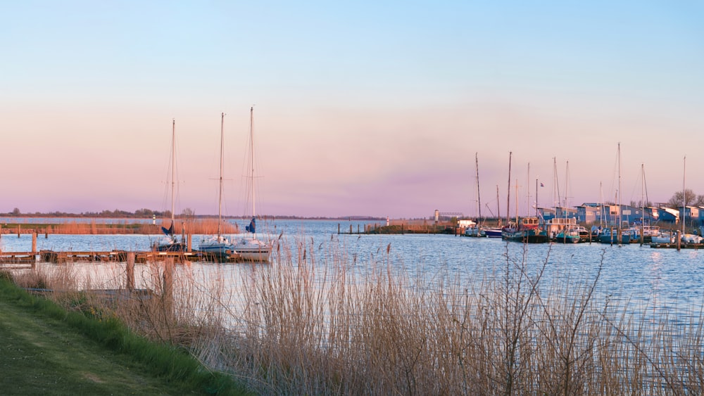 a body of water with boats in it and buildings in the back