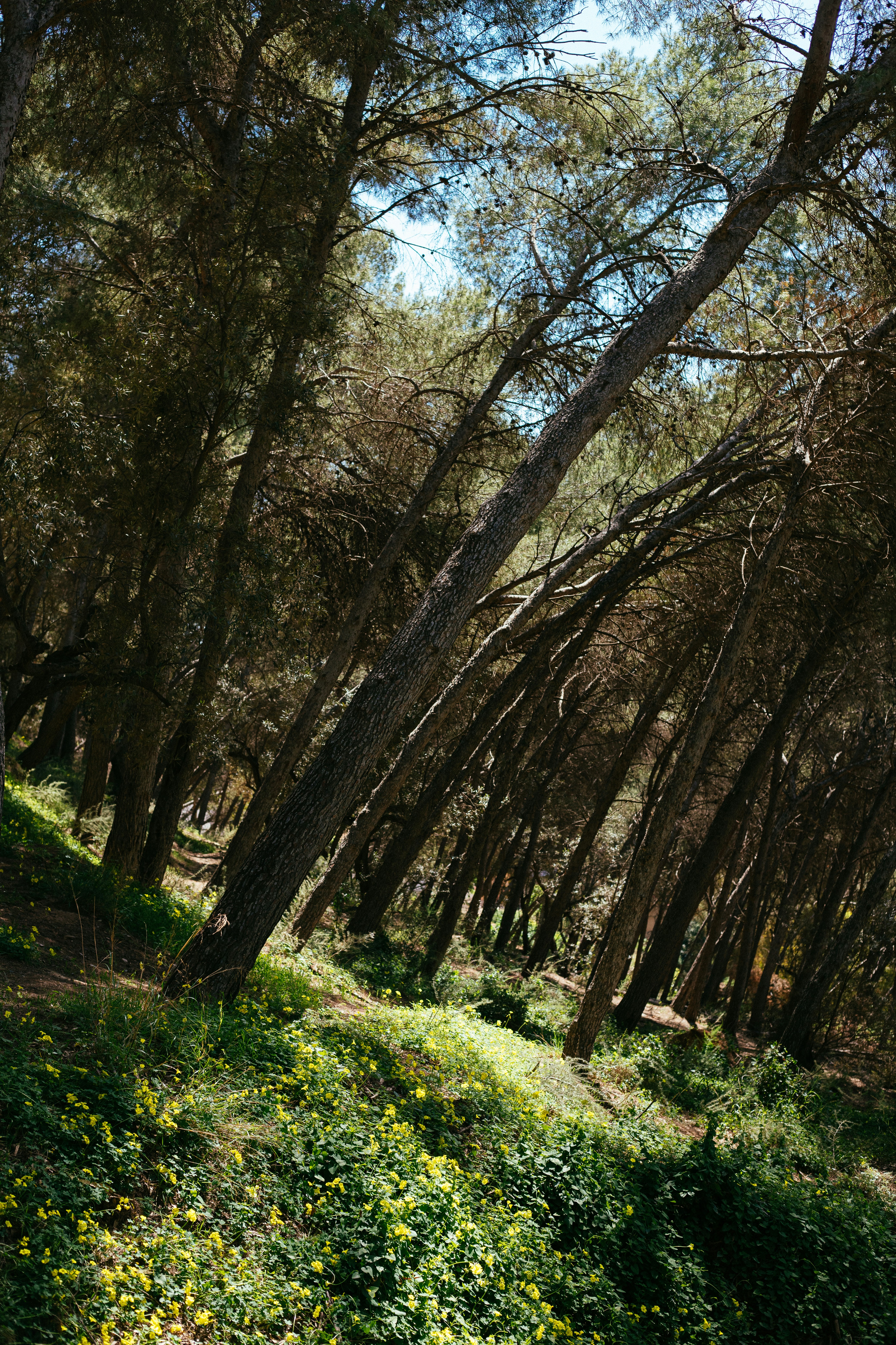 Photo by juliamatuzova