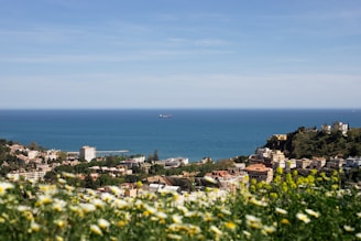 a large body of water with a city in the background