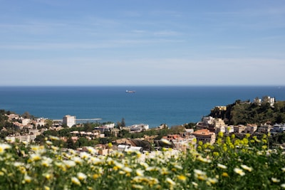 a large body of water with a city in the background