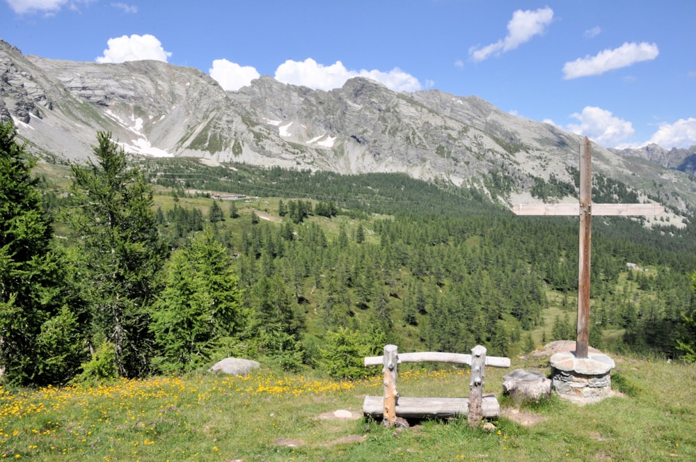 a wooden bench in a grassy field with trees and mountains in the background