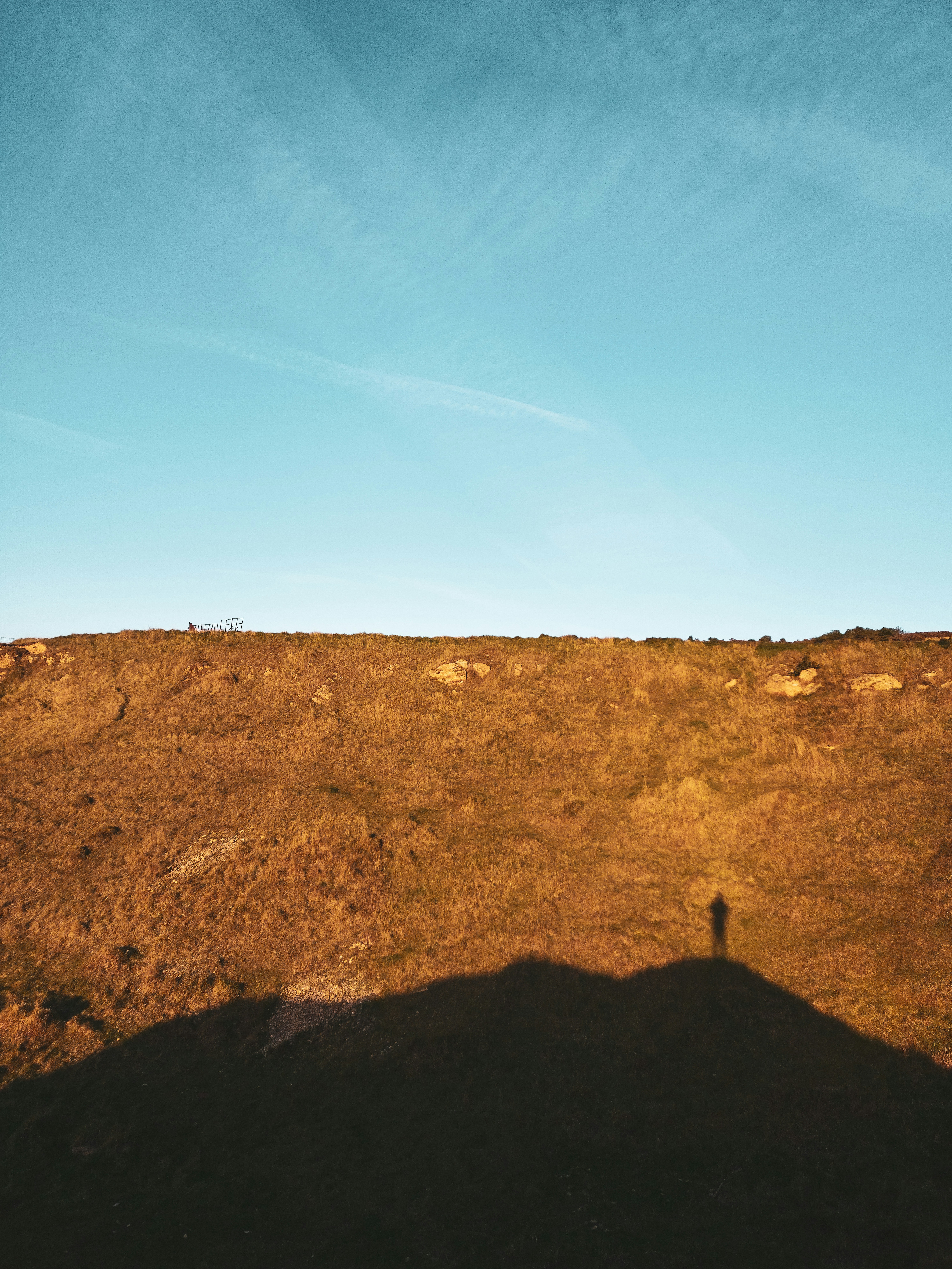 Photo by secondsight