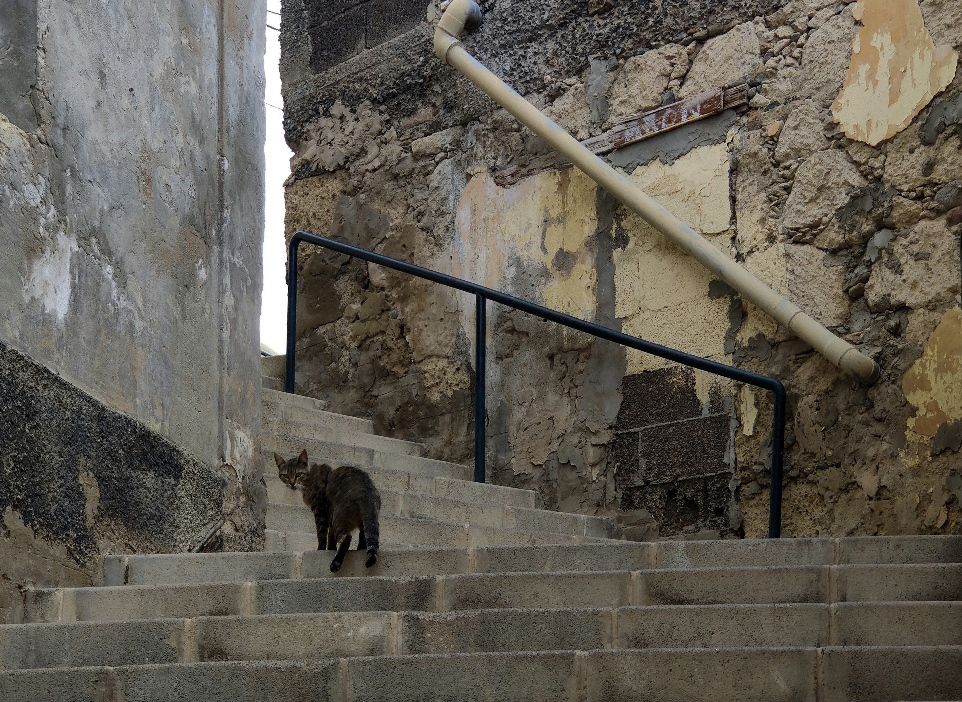 Photo by rrricharddd