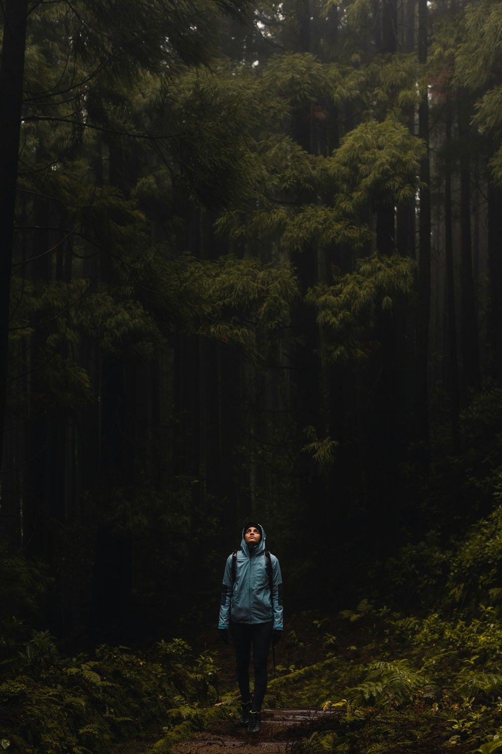 a man standing in a forest