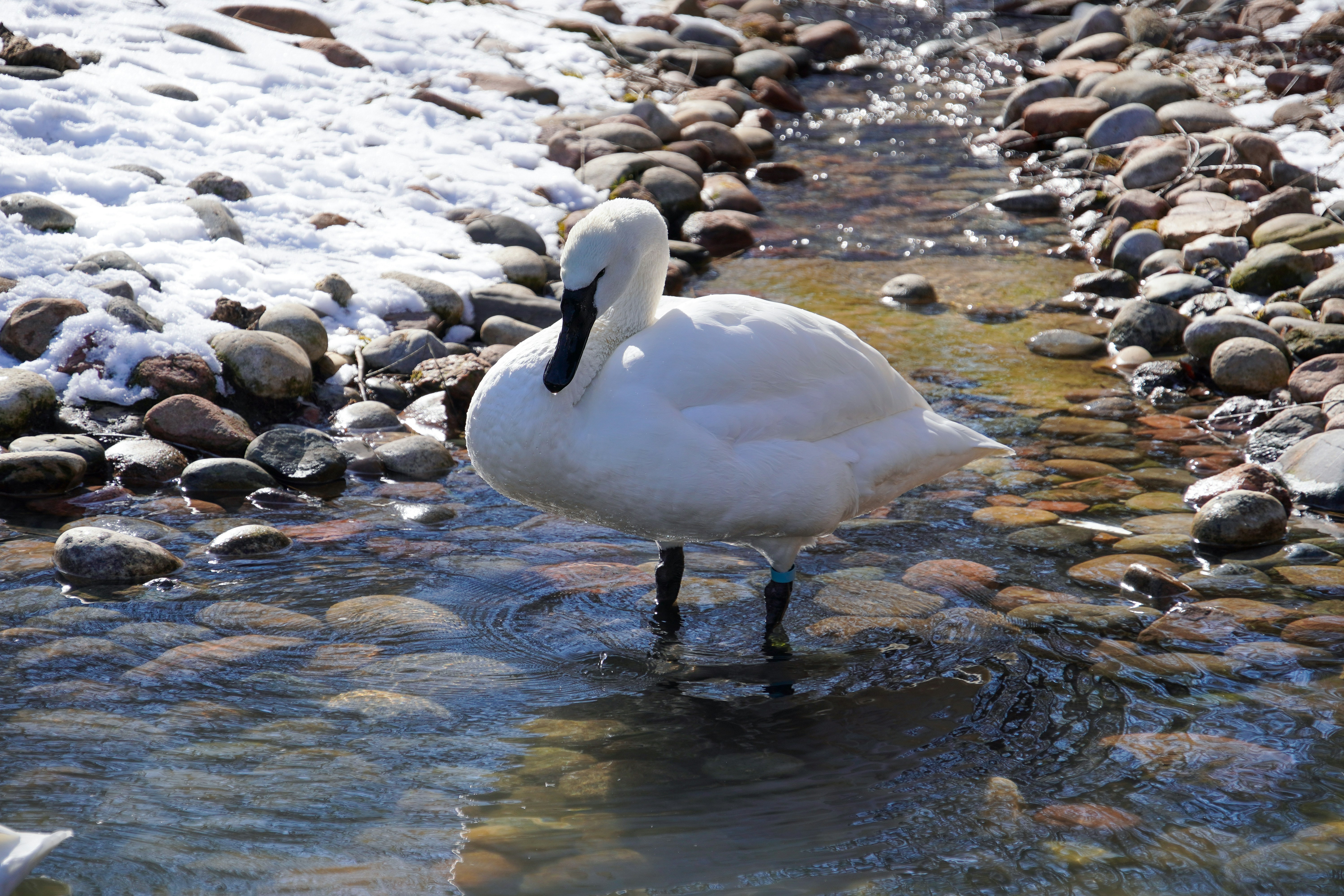 Photo by ndixondesign