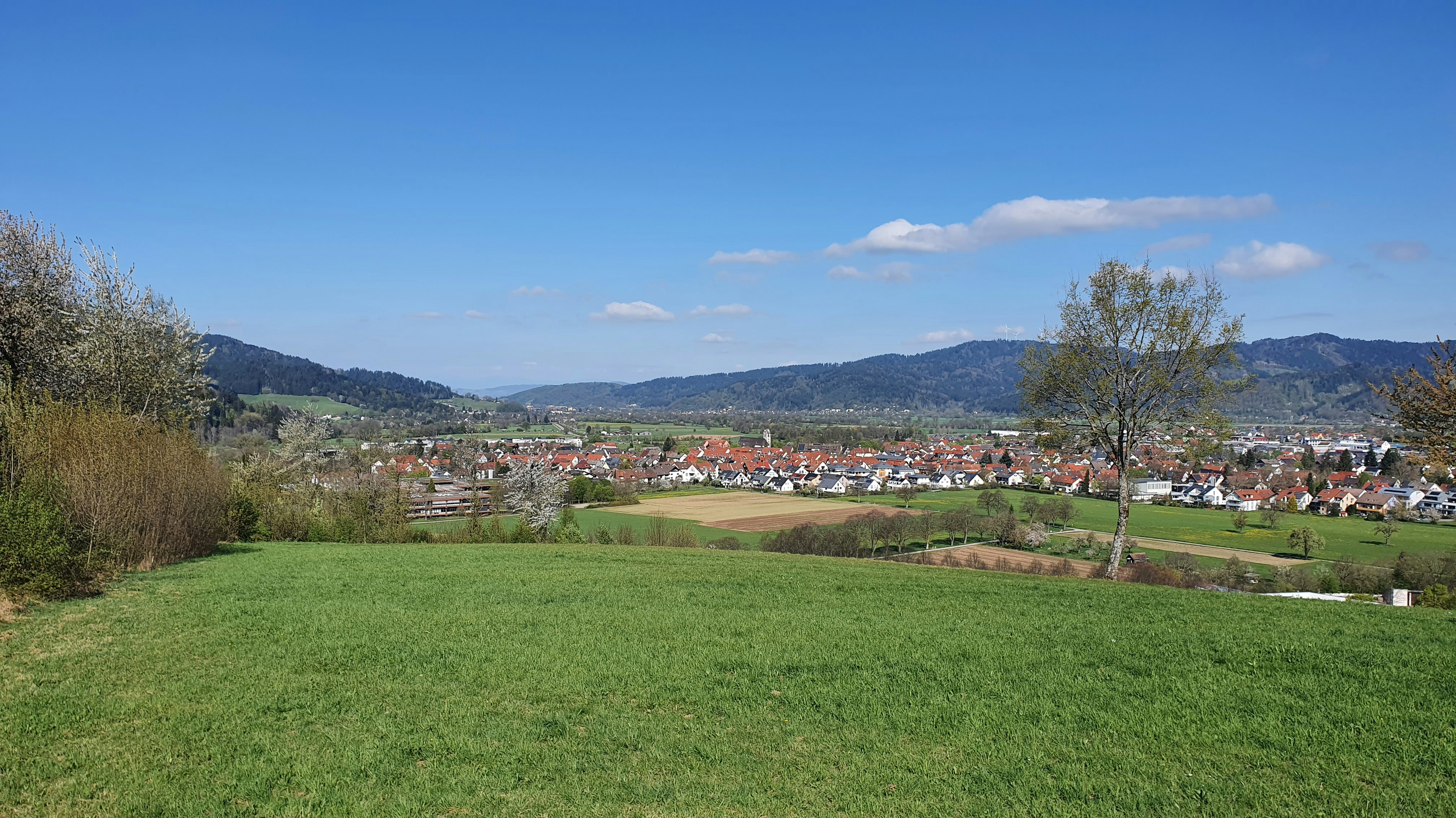 a grassy field with a town in the distance