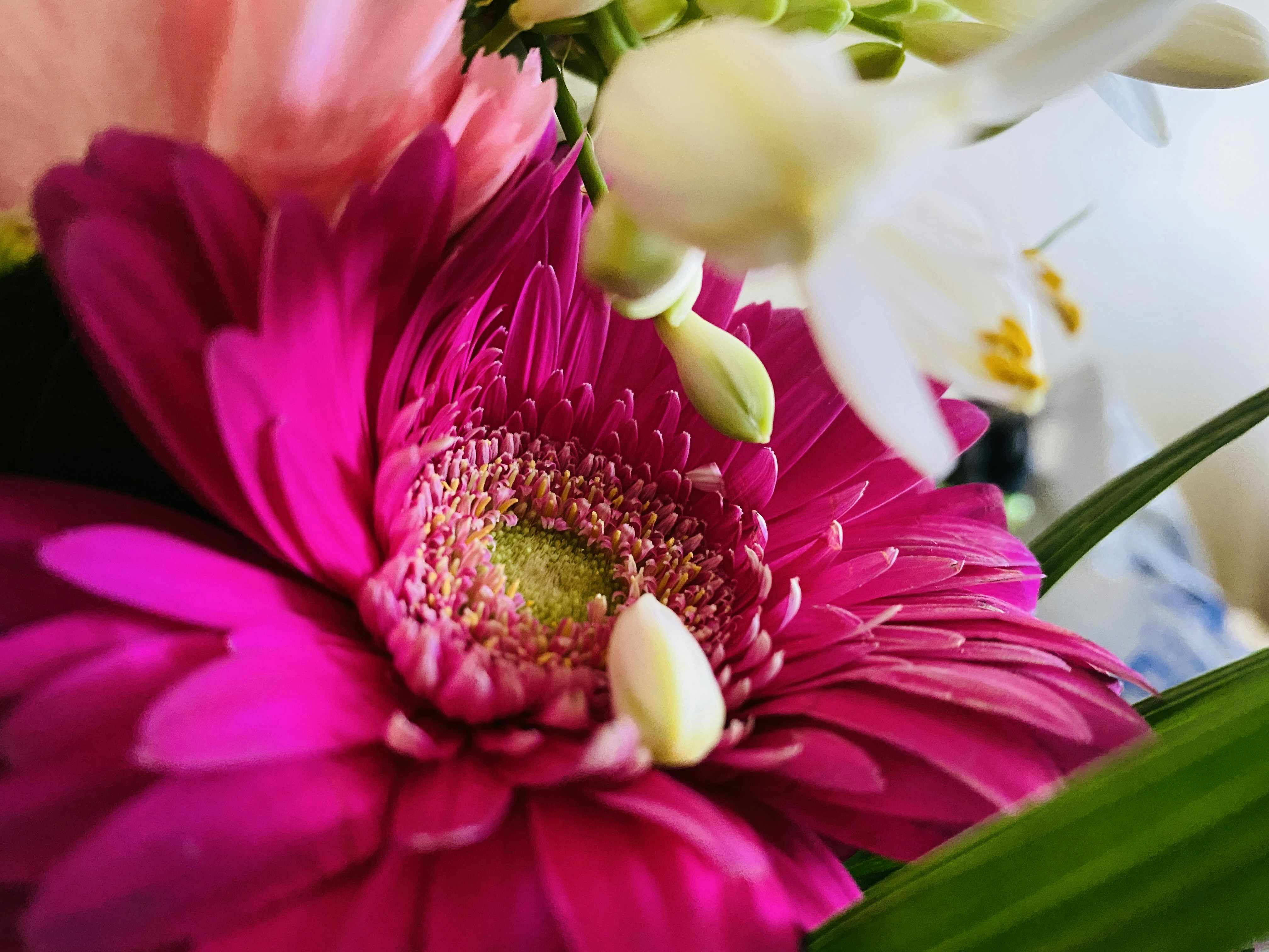 Photo by prem_dominic