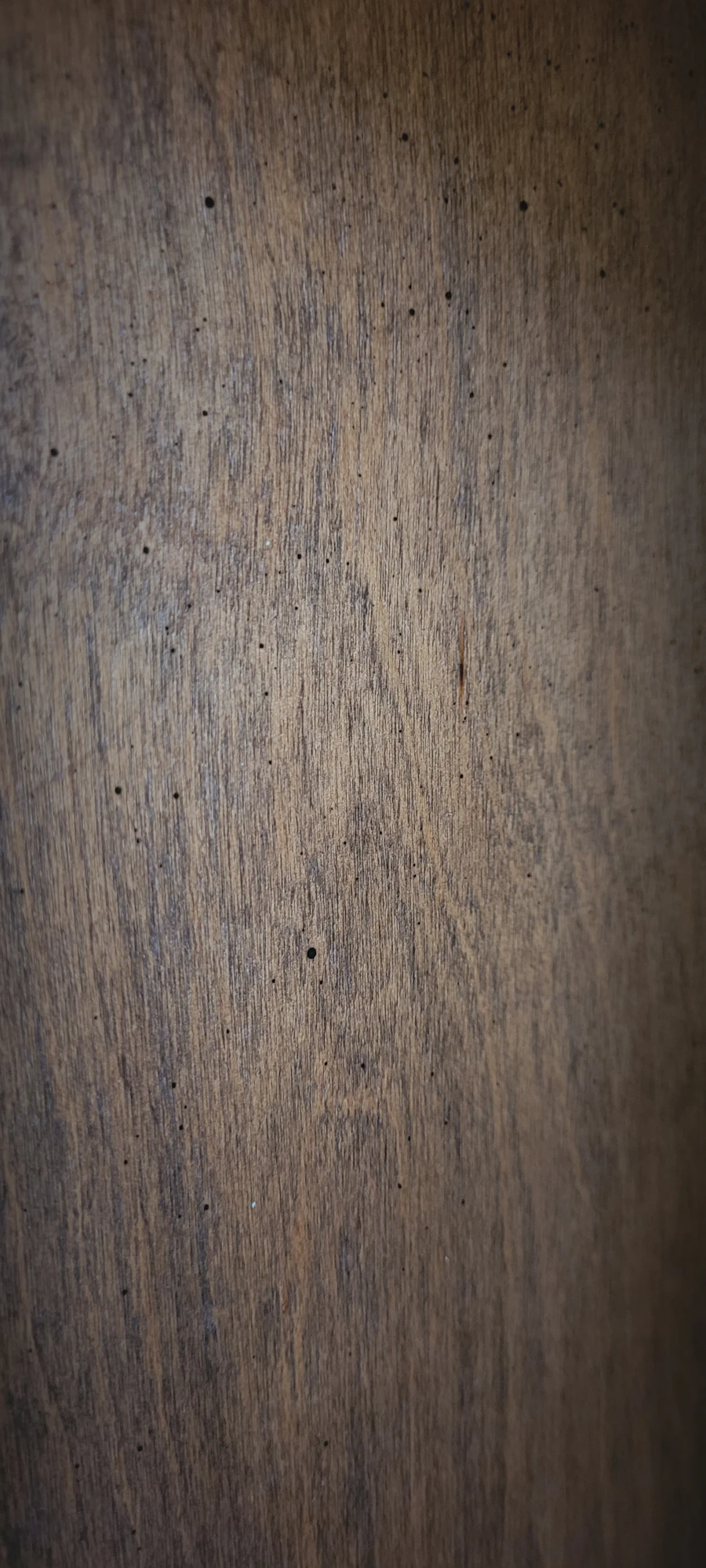 Black walnut wood grain texture