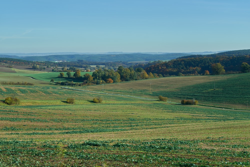 a large green field