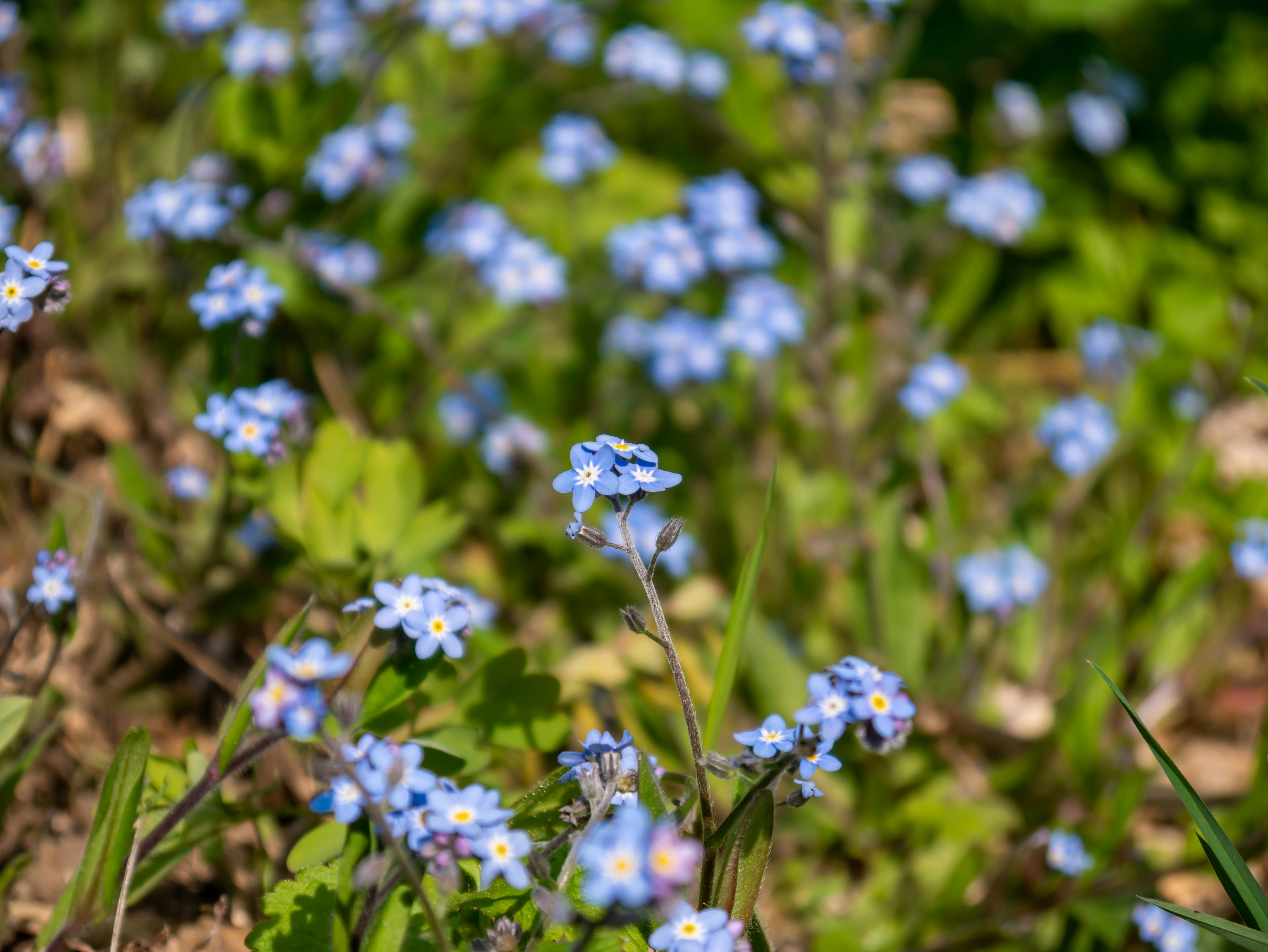 Photo by jameskitt616