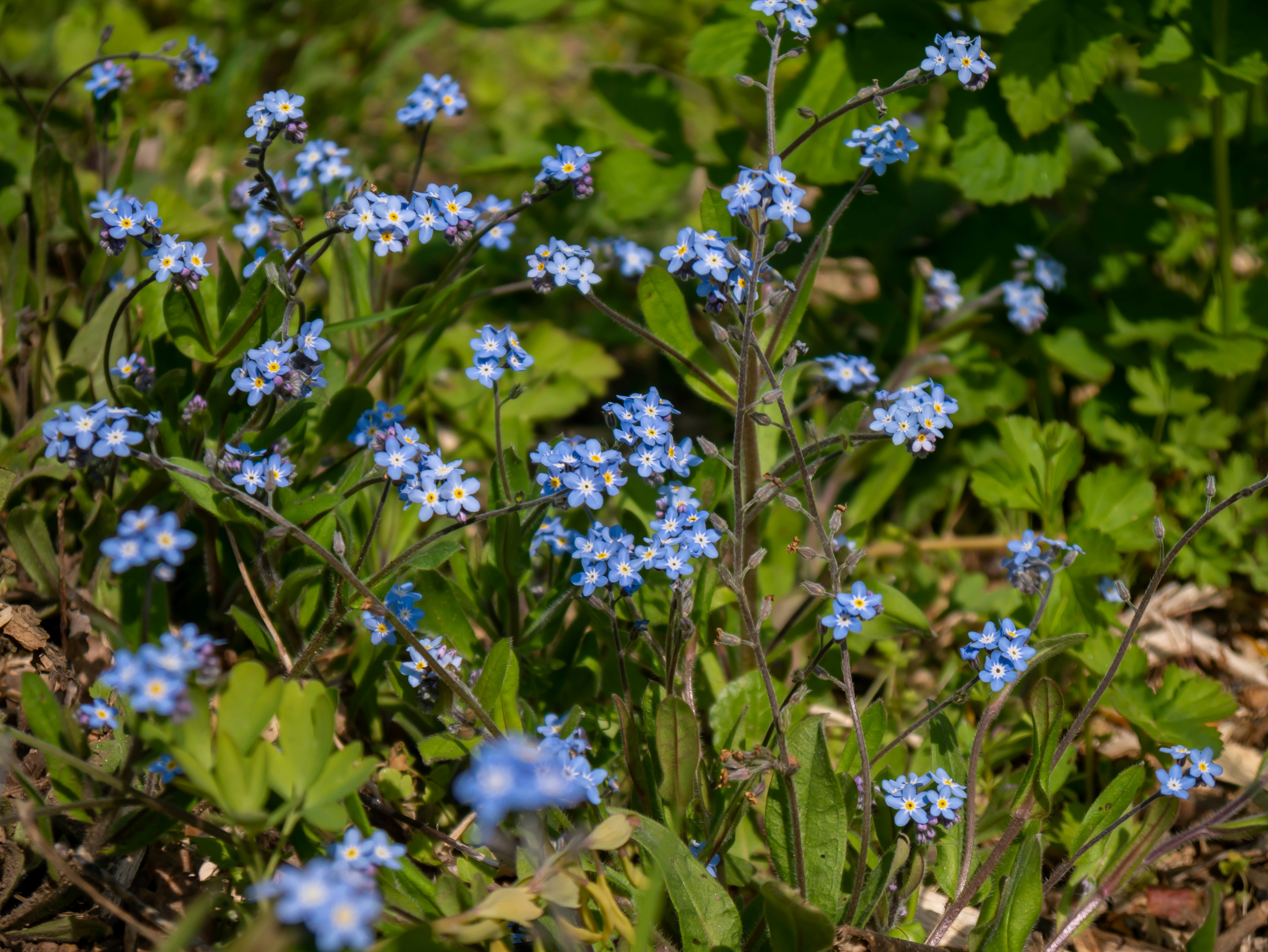 Photo by jameskitt616