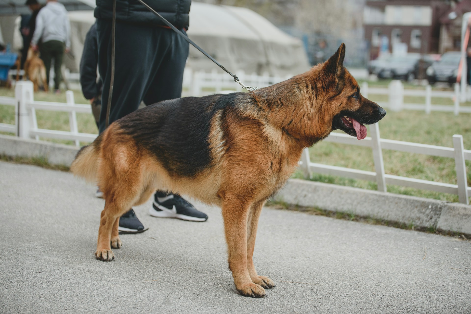woman wearing yellow long-sleeved dress under white clouds and blue sky during daytime
