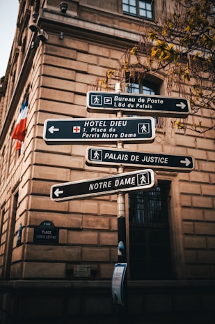 An old building with a formal architectural style serves as the backdrop for a cluster of street signs pointing towards various locations, including 'Bureau de Poste', 'Hotel Dieu', 'Palais de Justice', and 'Notre Dame'. Leaves from a nearby tree add a touch of nature to the urban setting. A small French flag is visible, adding a national touch.