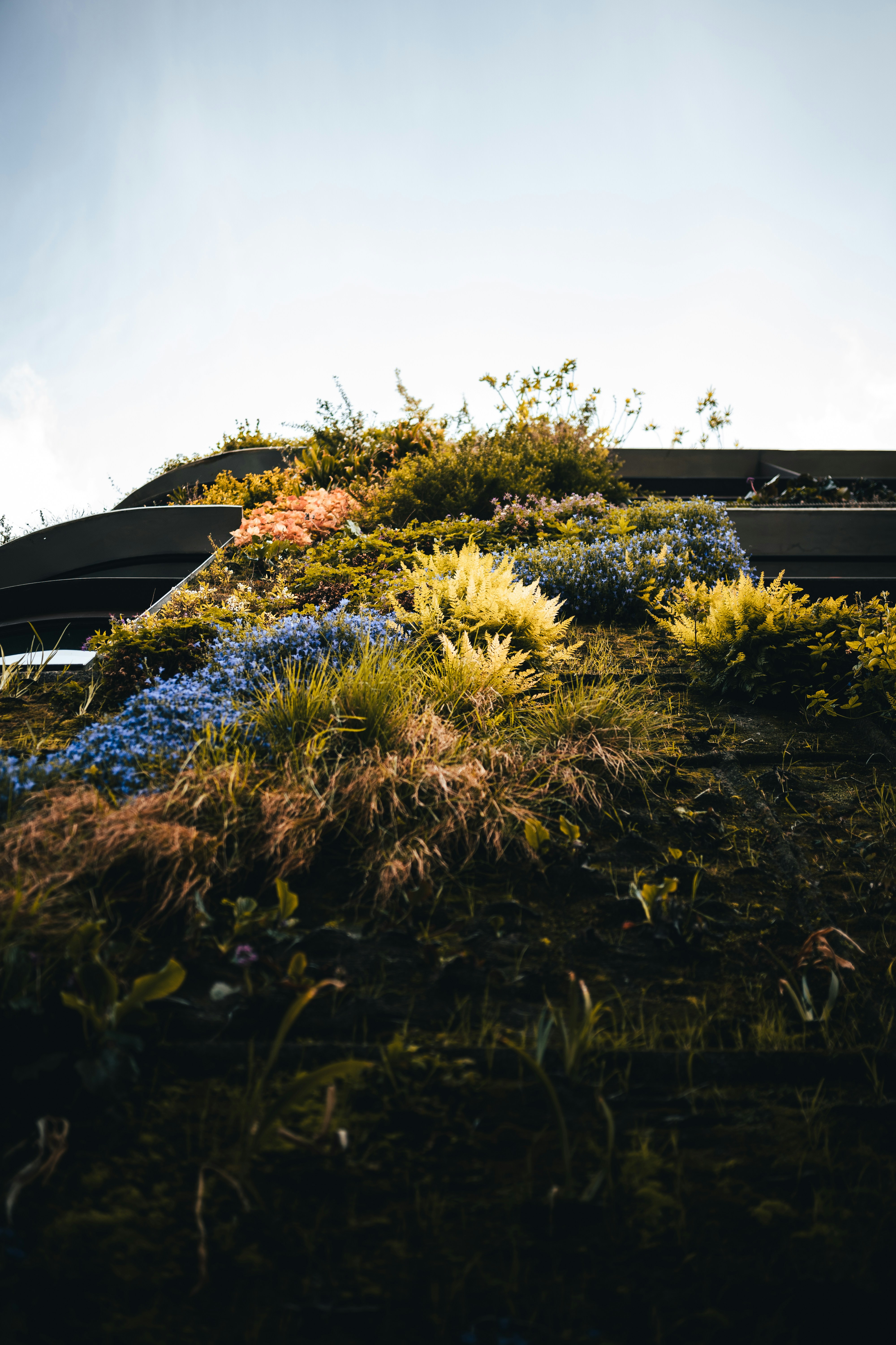 Photo by mauricesahl