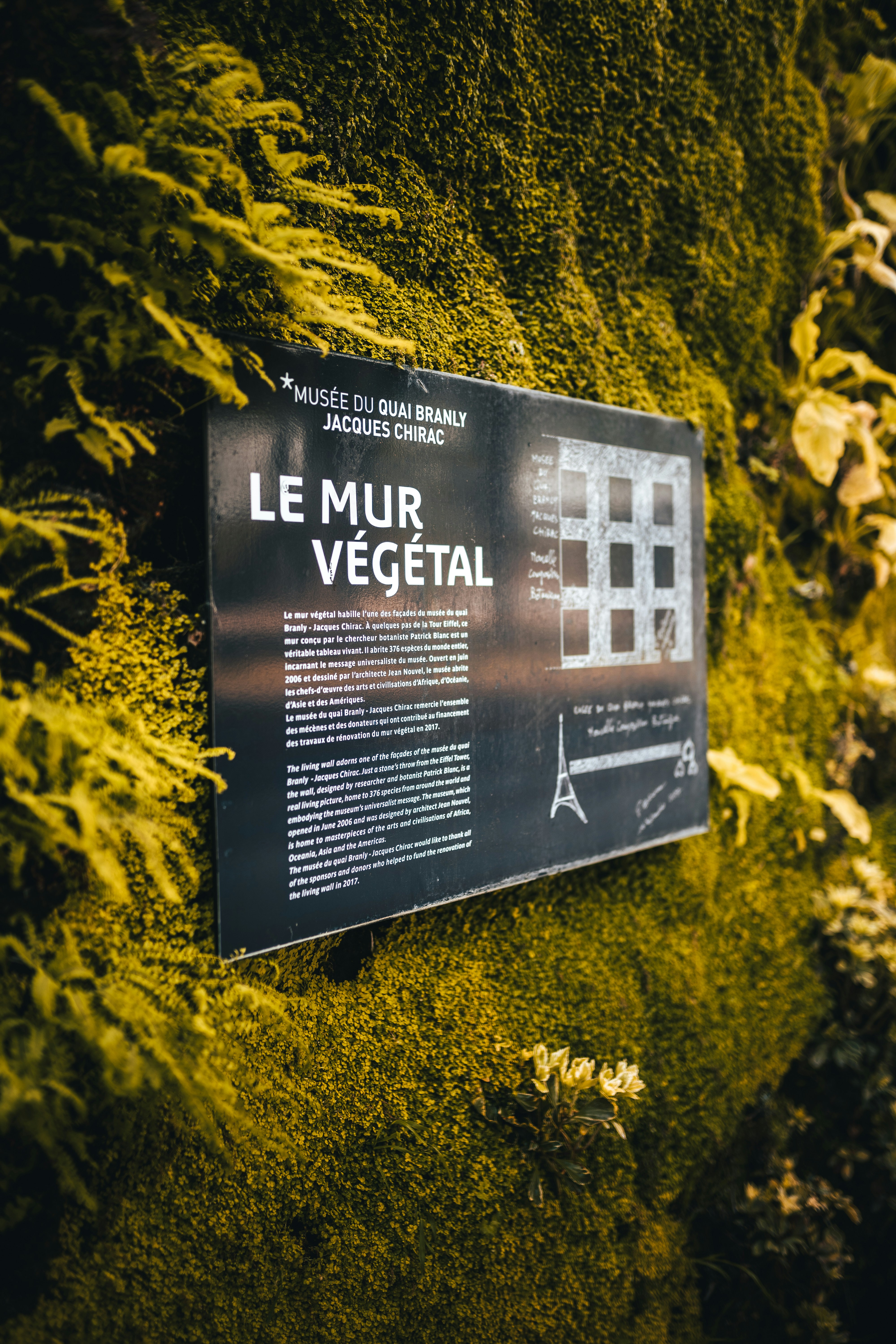 a black book on a tree