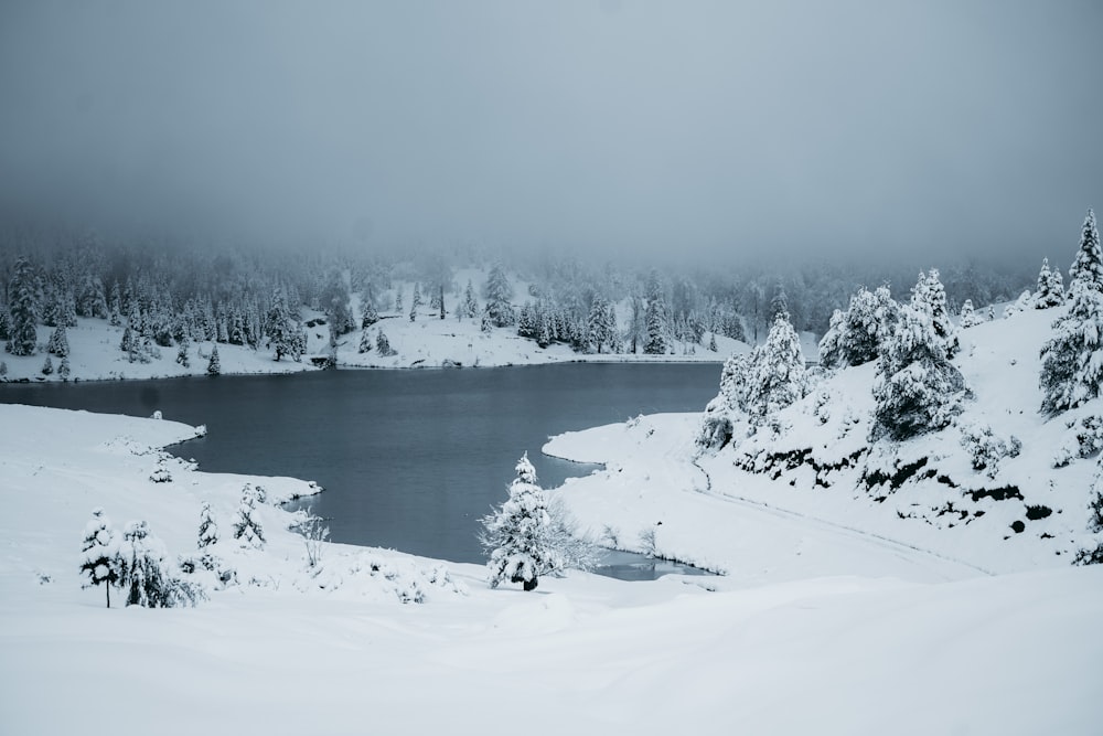 a lake surrounded by snow covered trees
