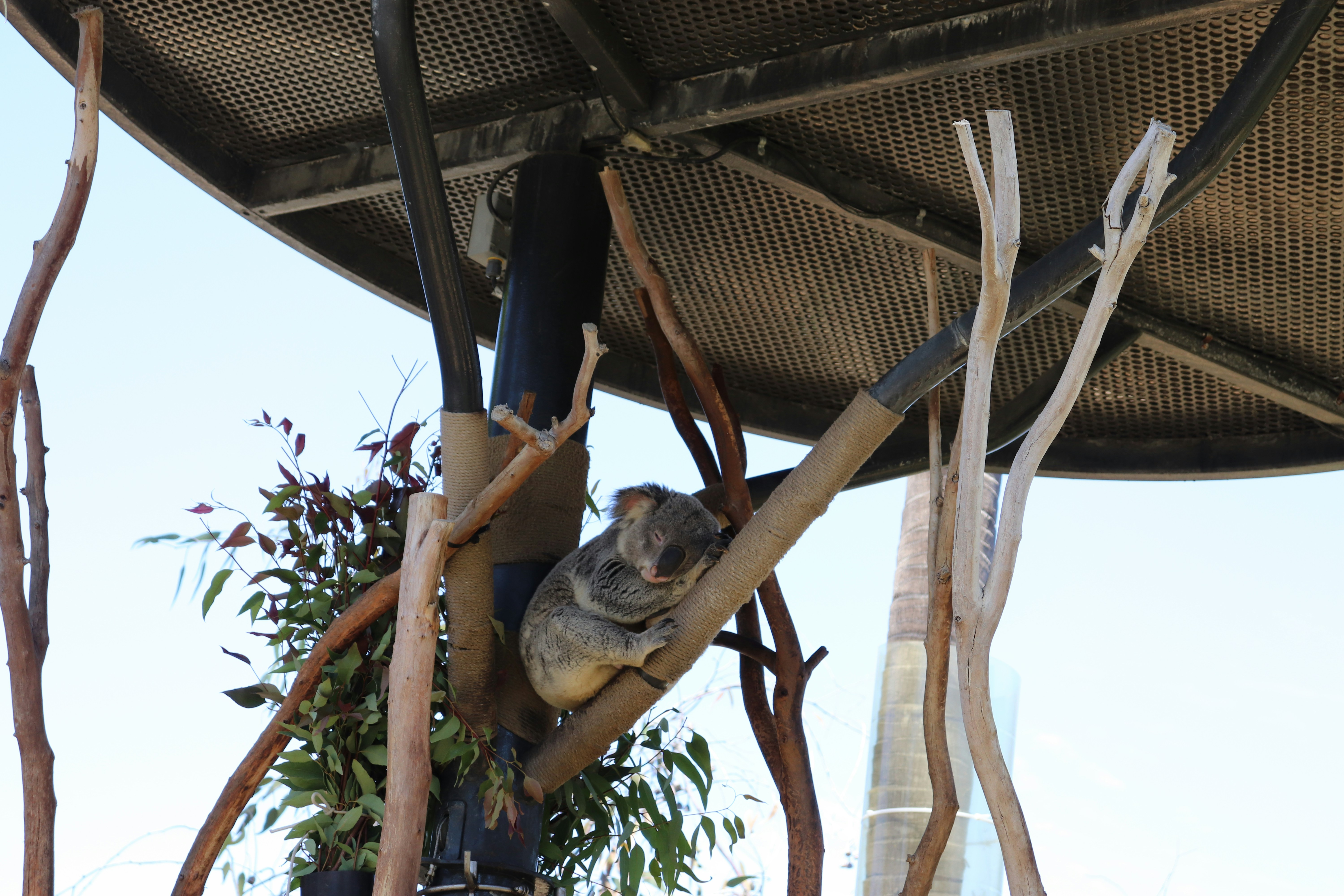 Image by Lia Schmidt via Unsplash