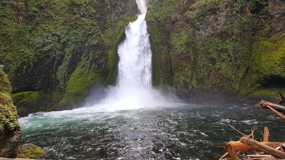 Una cascata in una foresta