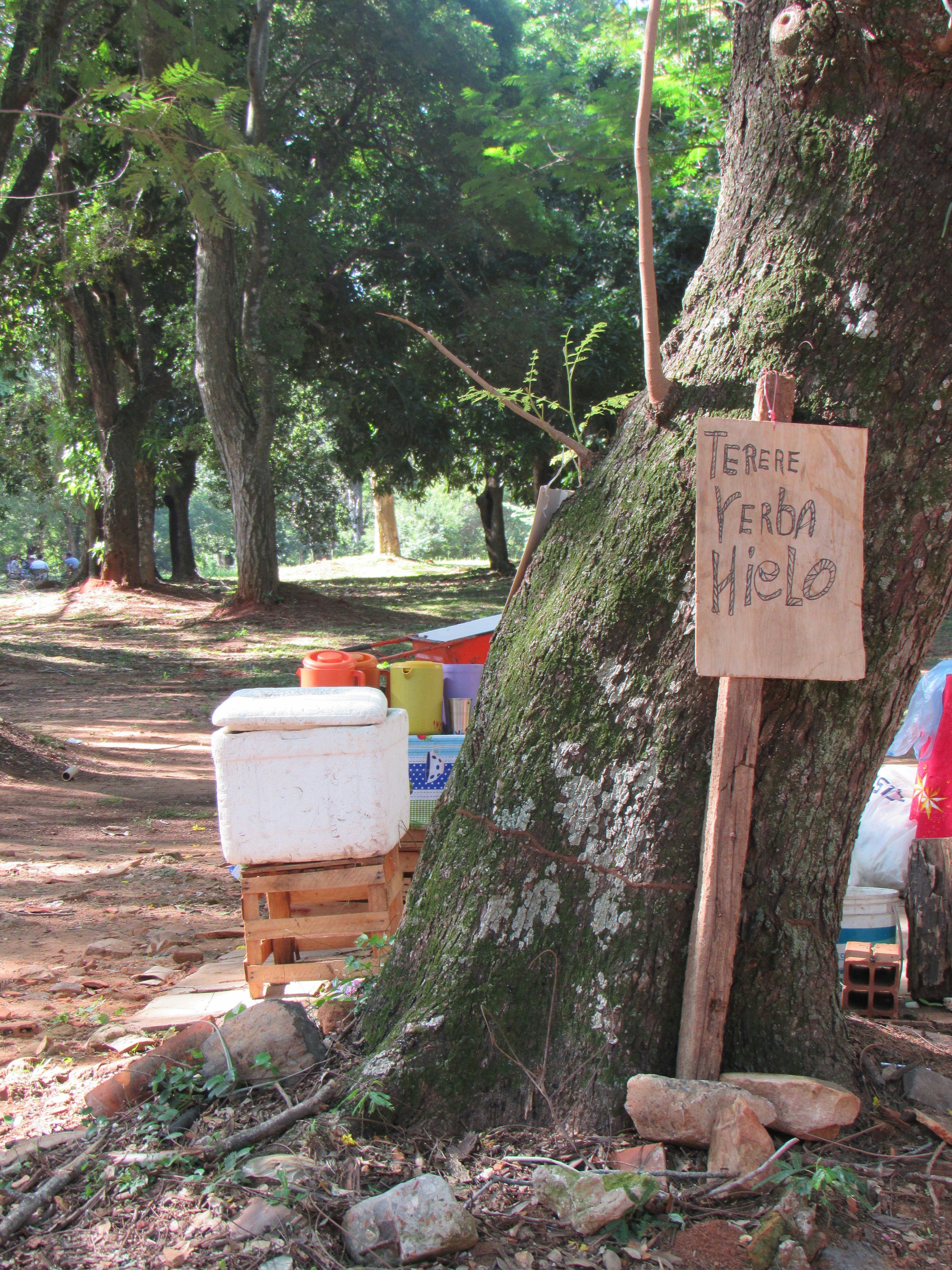 a sign next to a tree