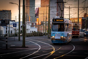 The Hague