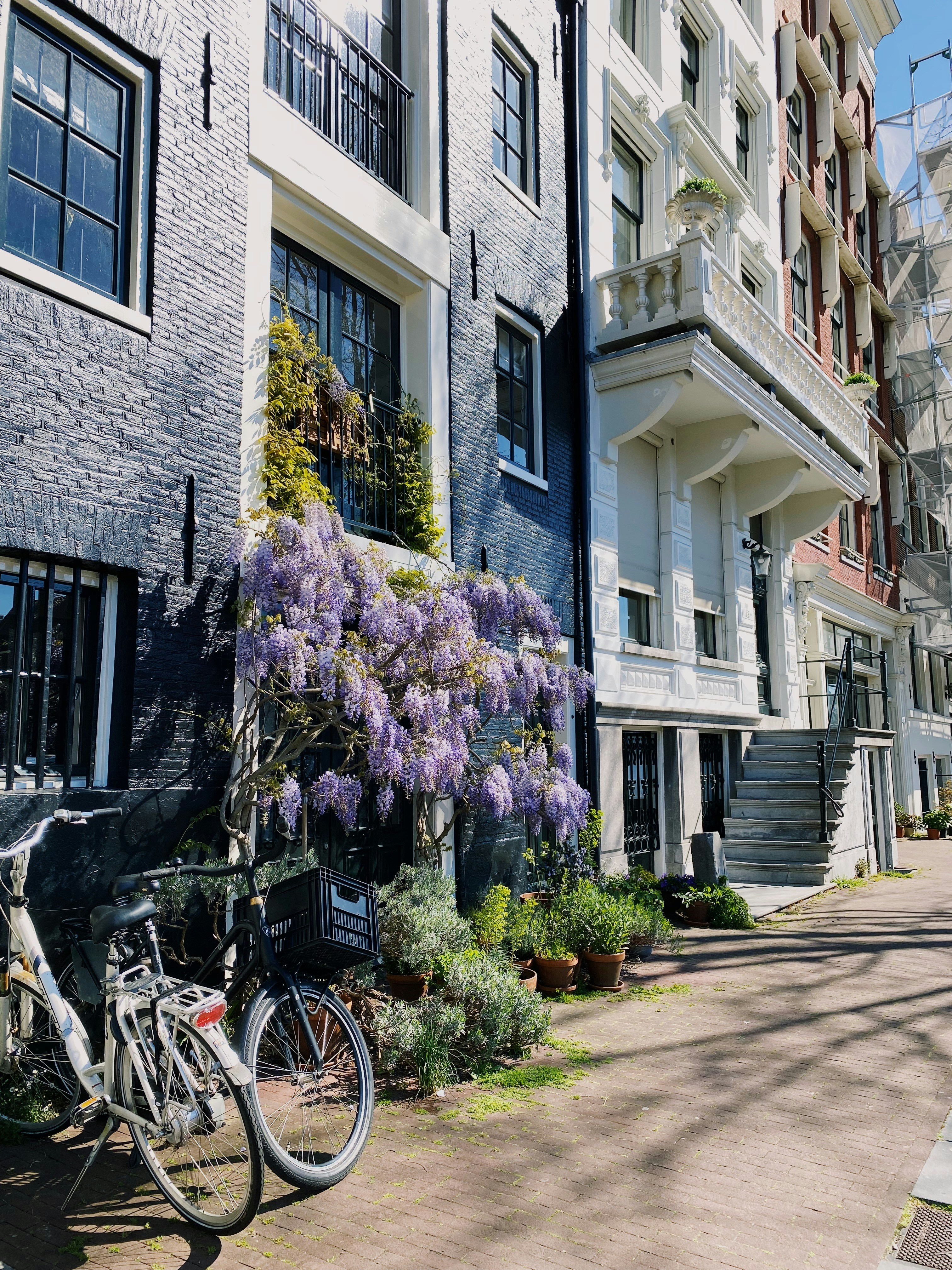 Photo by weronikajanas