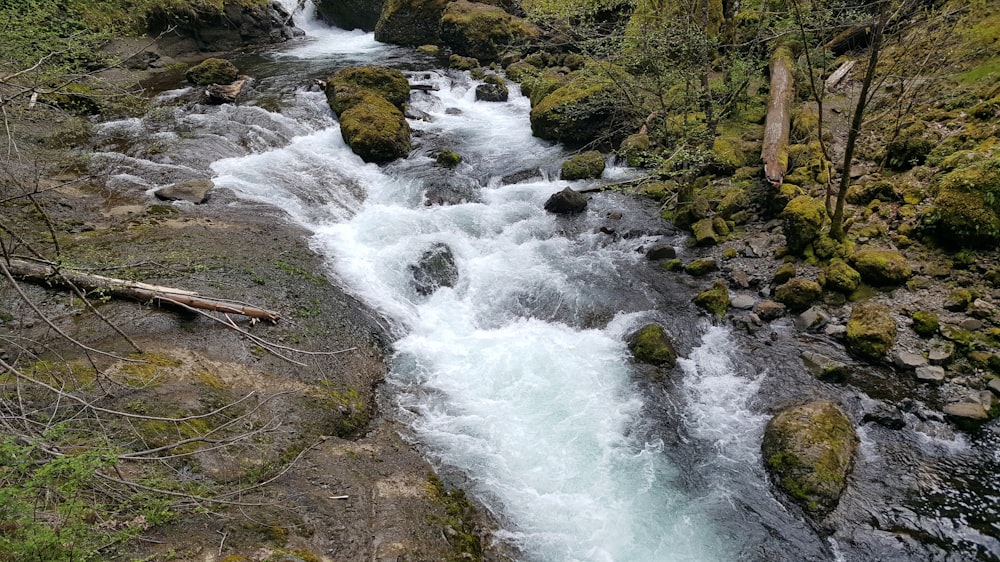 a river with rocks and trees