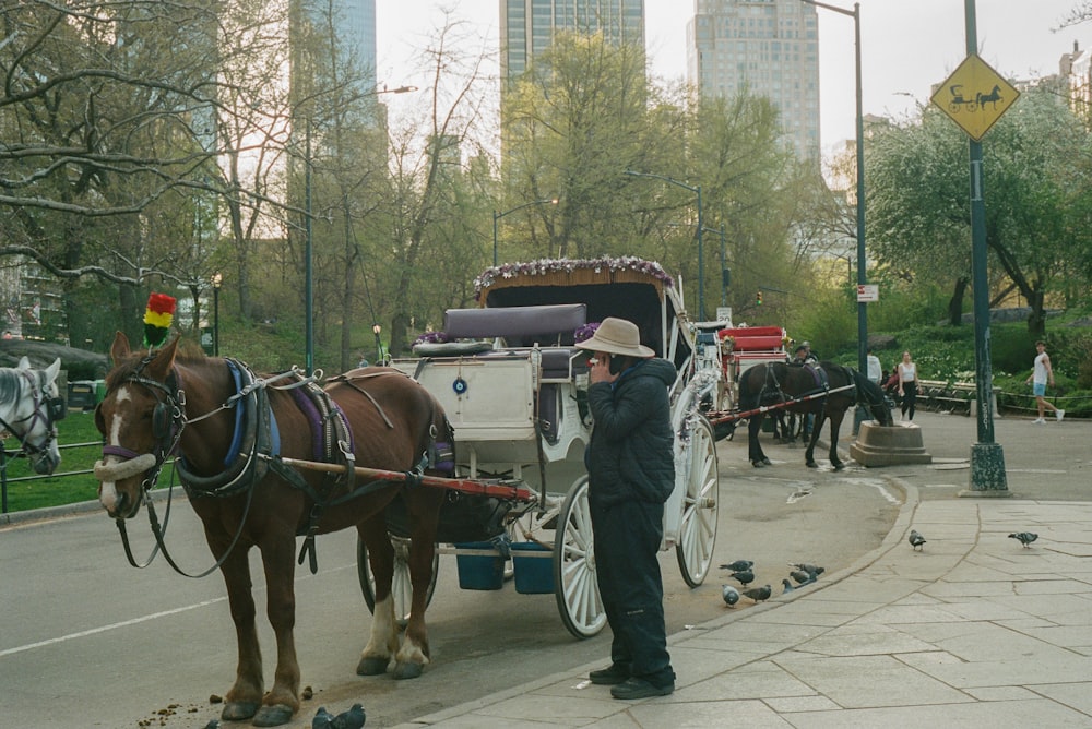 a man standing next to a horse carriage