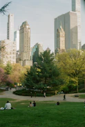 A lush urban park with solar panels and people enjoying the green space