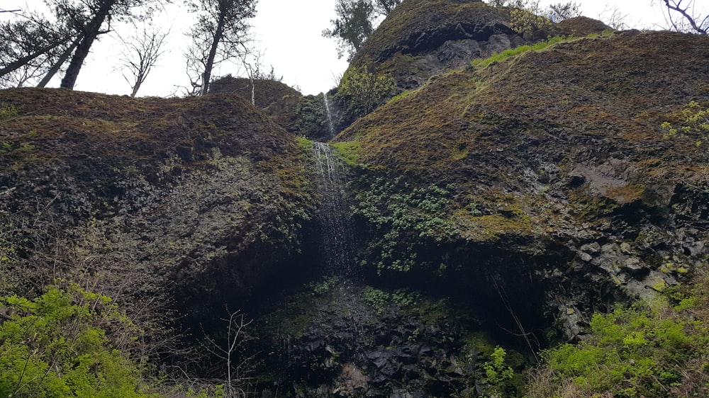 una collina rocciosa con alberi