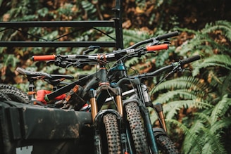 a group of bicycles parked next to each other