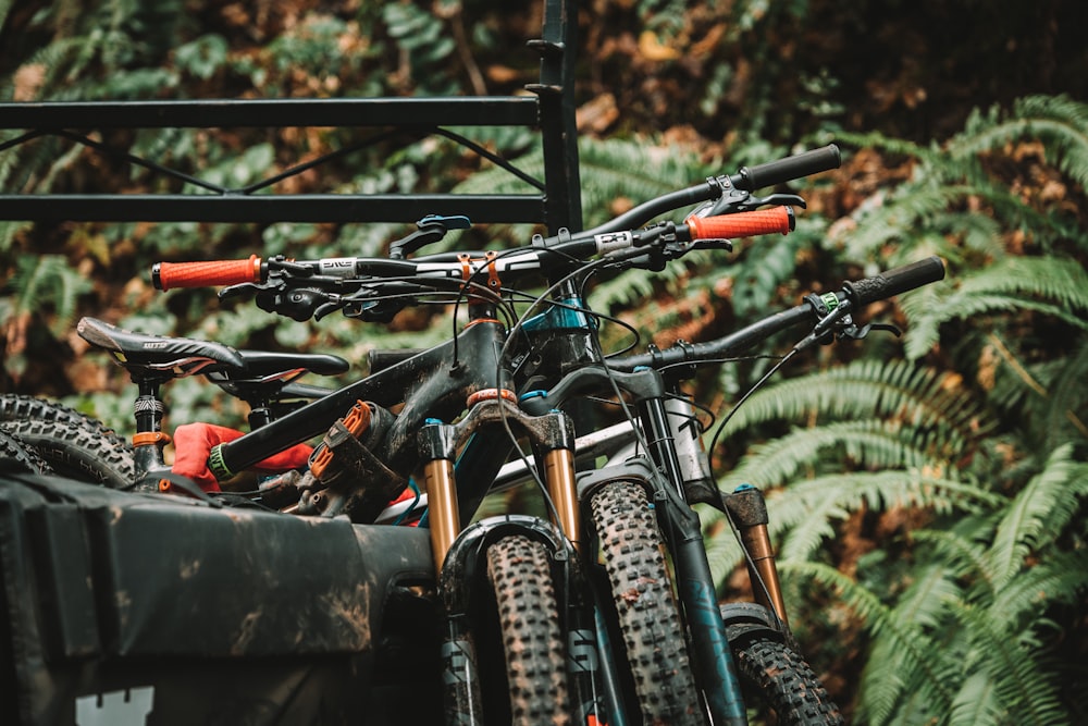 a group of bicycles parked next to each other