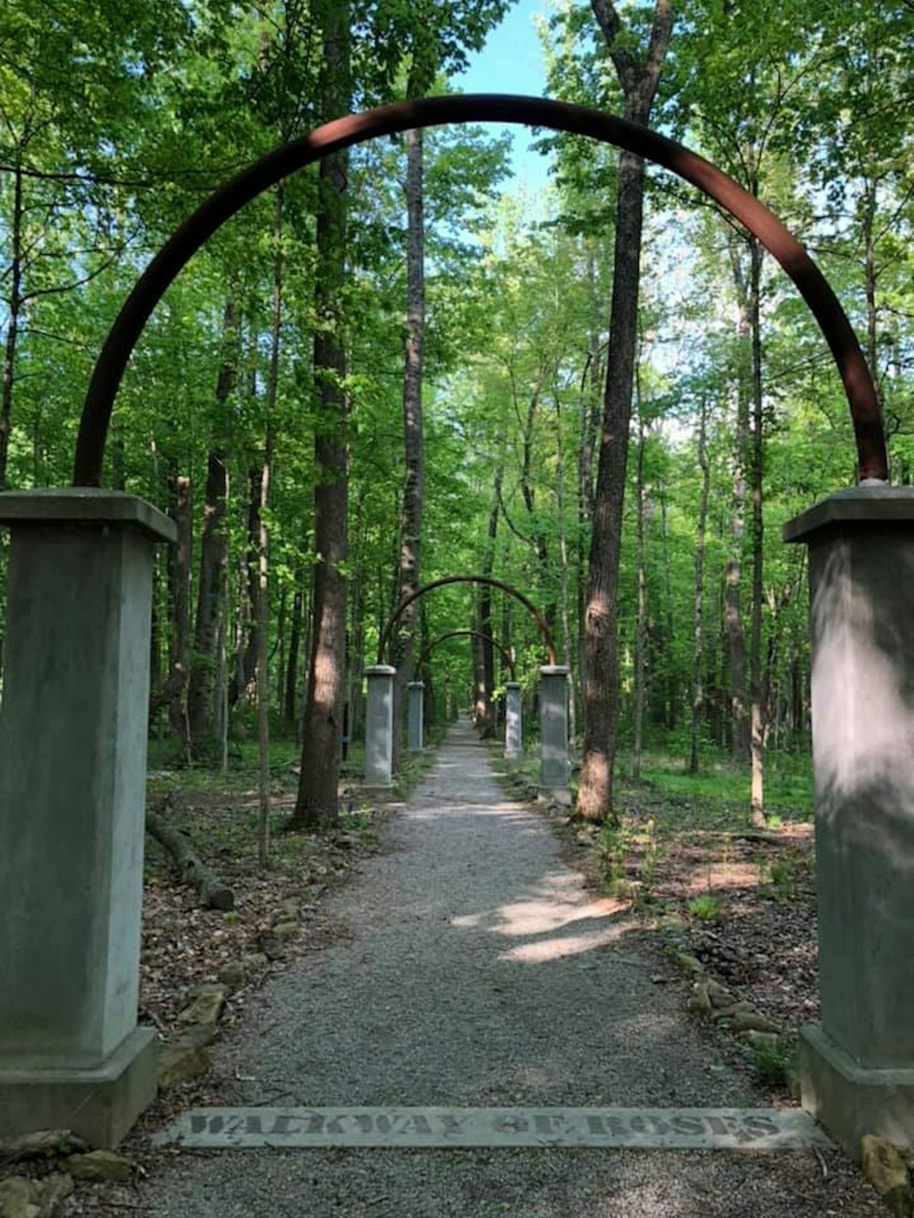 a path through a forest