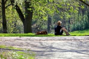 A peaceful scene of a person gently sitting with a calm dog in a sunny garden.