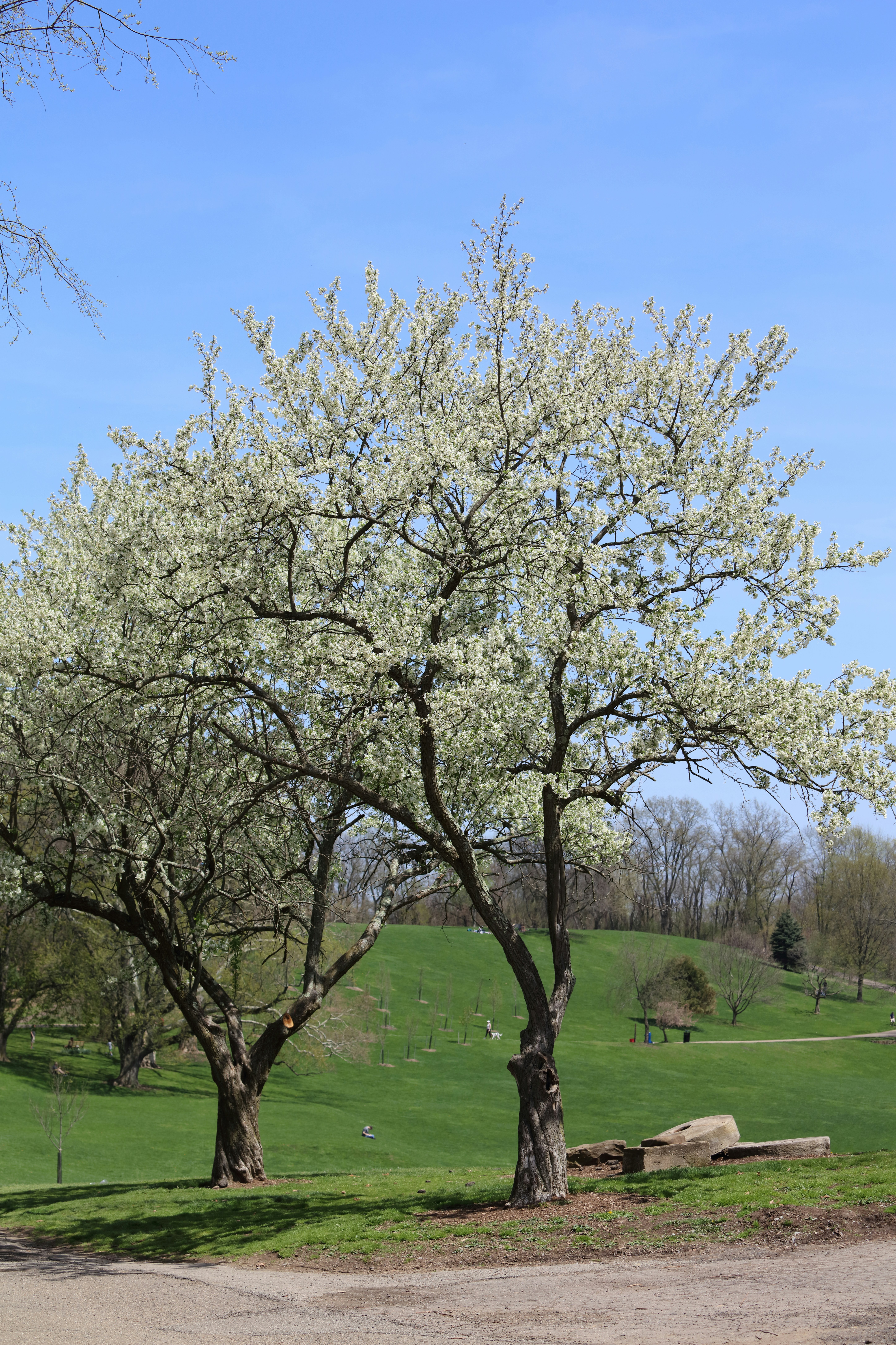 Photo by forsakenfilmslimited