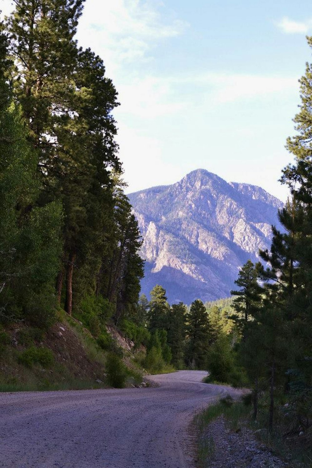 a road with trees and mountains in the background