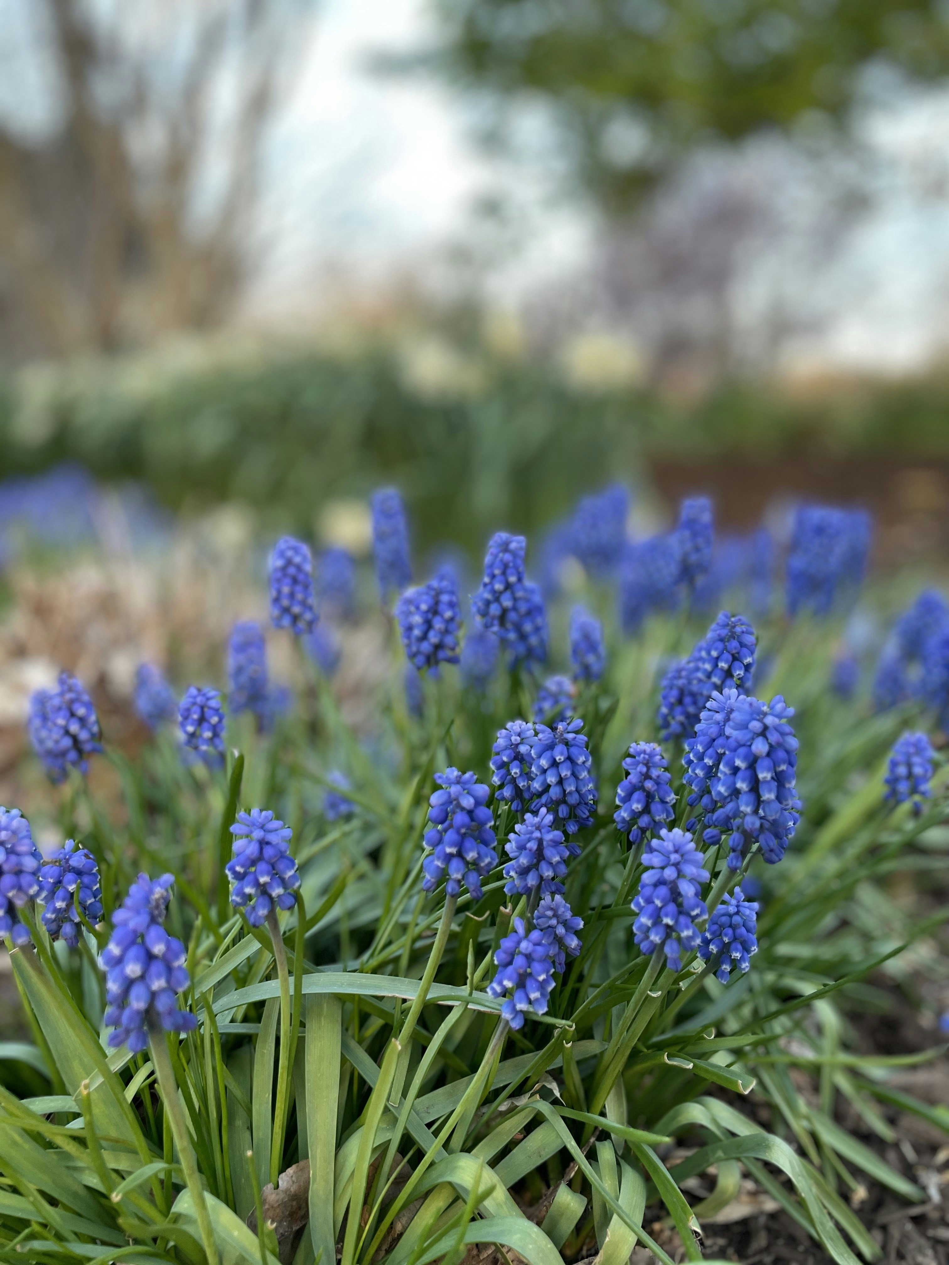 Photo by medhavavi123