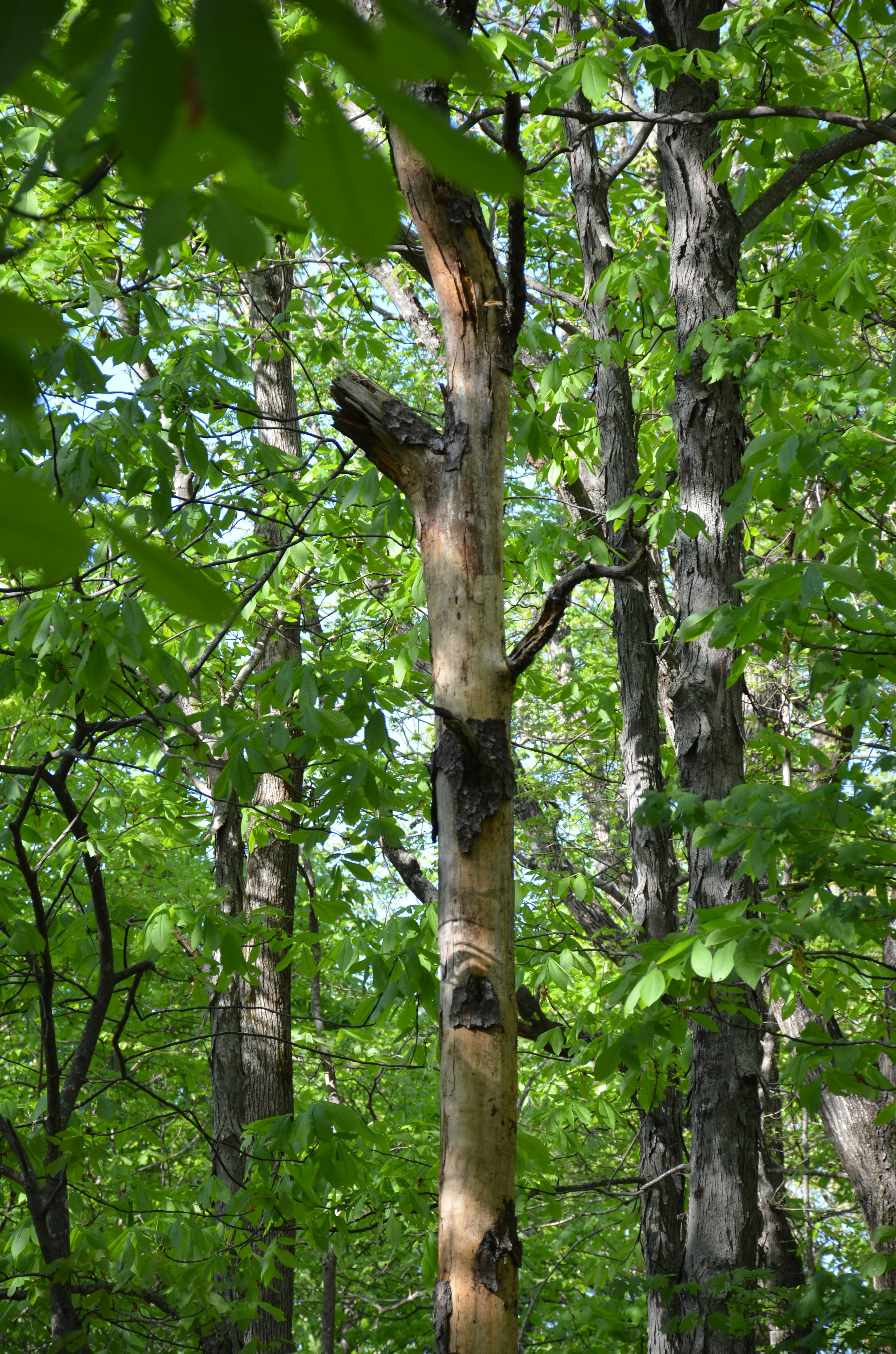 Photo by david_young