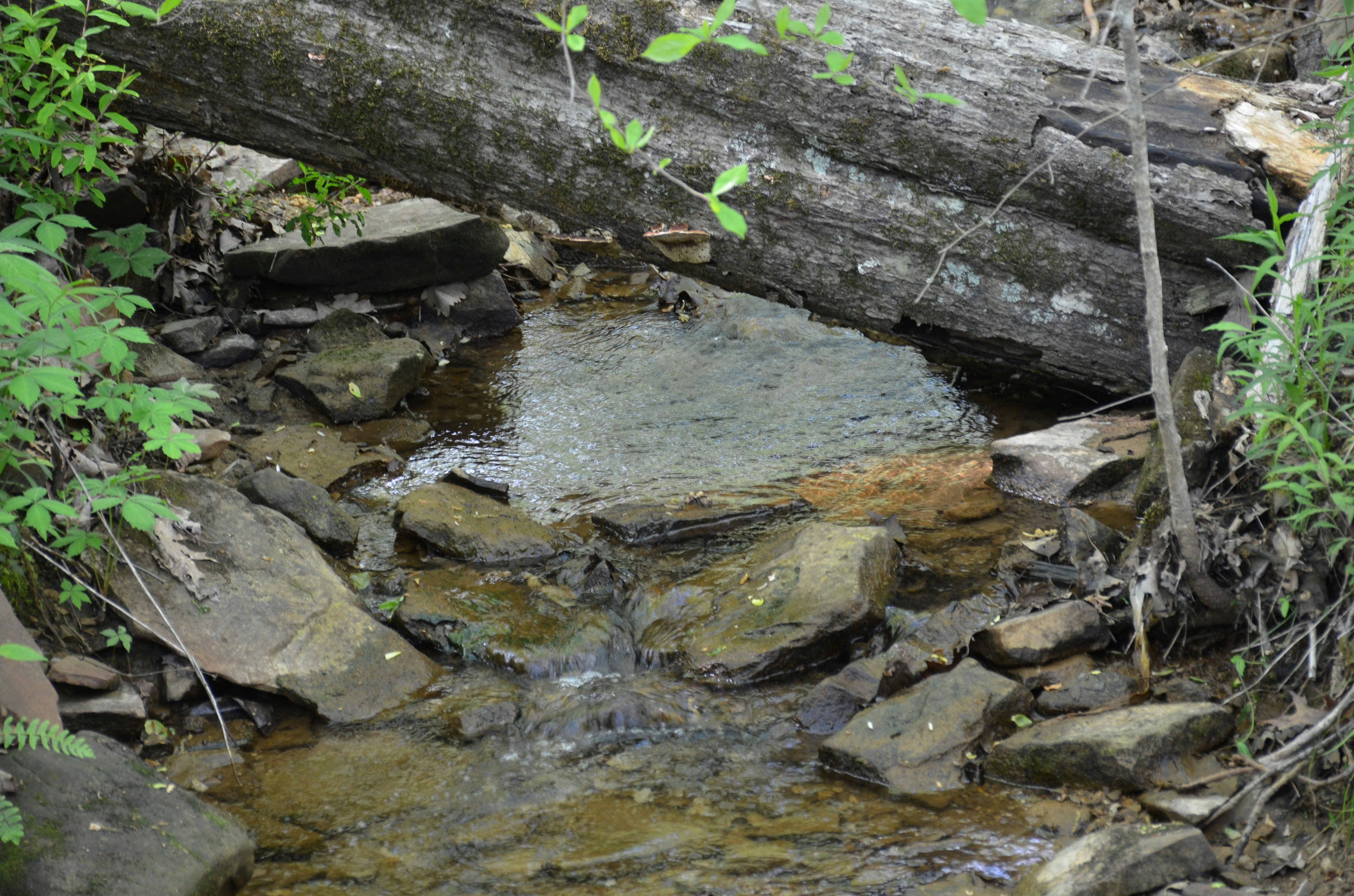 Photo by david_young