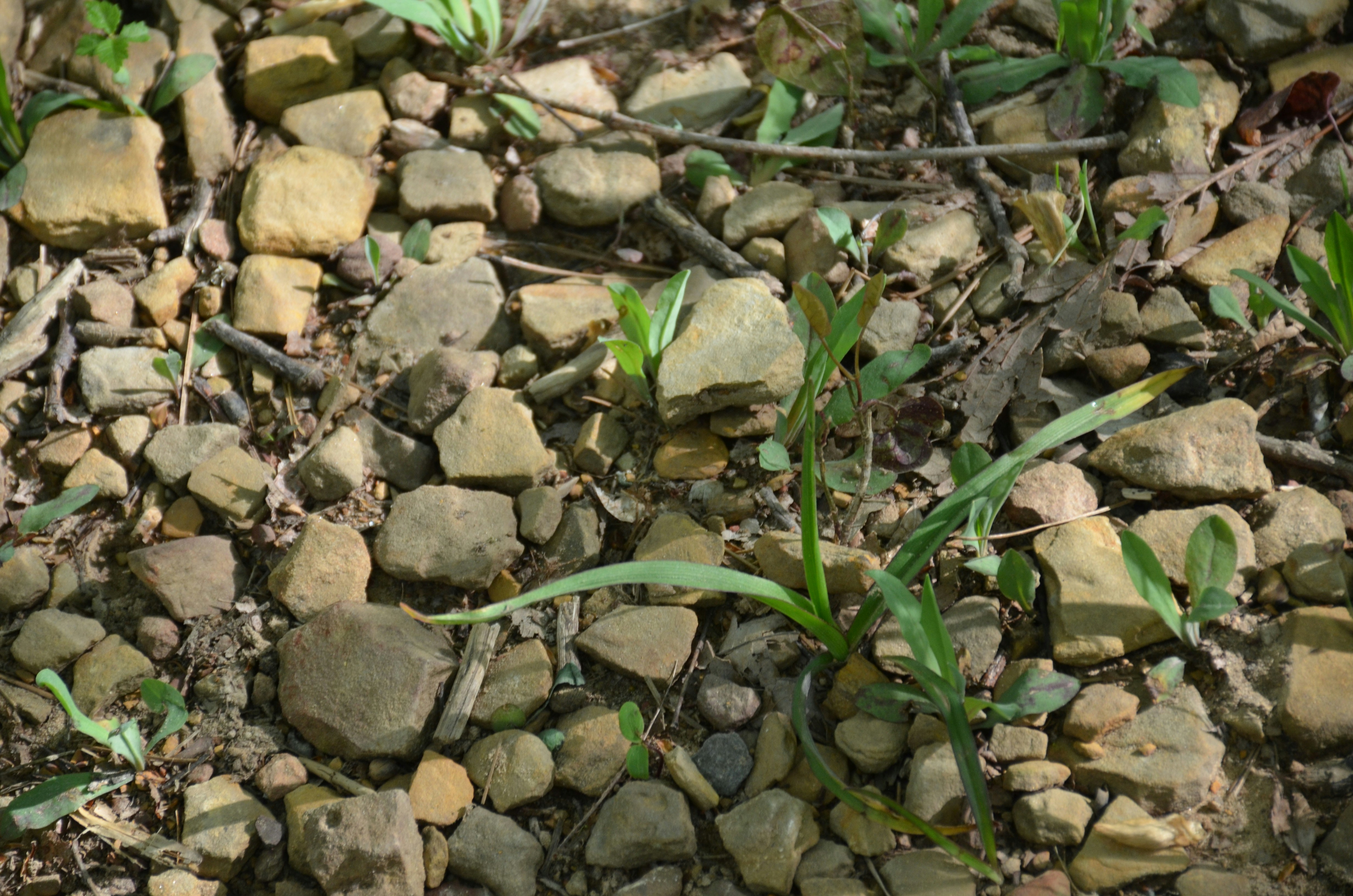 Photo by david_young