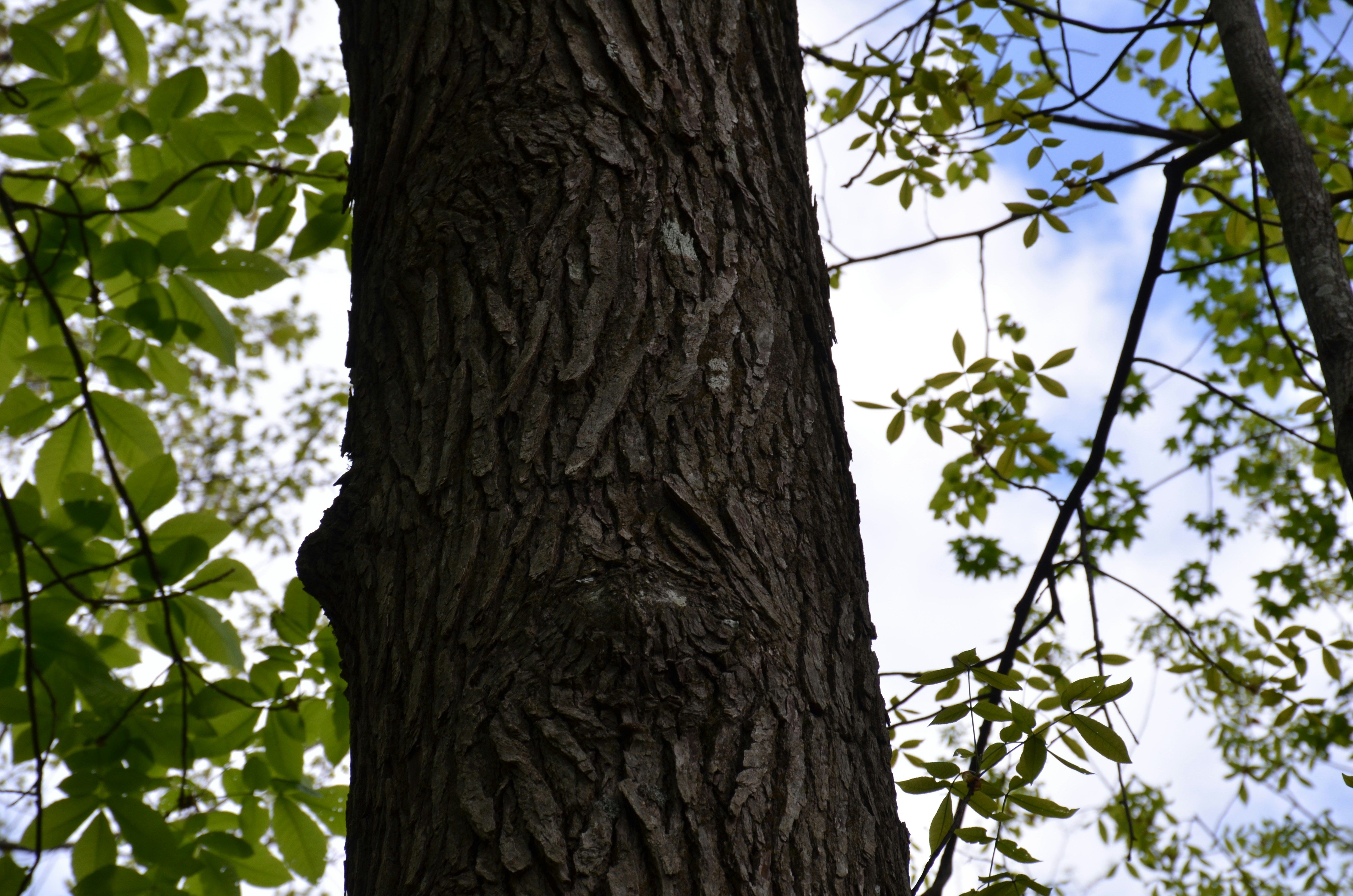 Photo by david_young