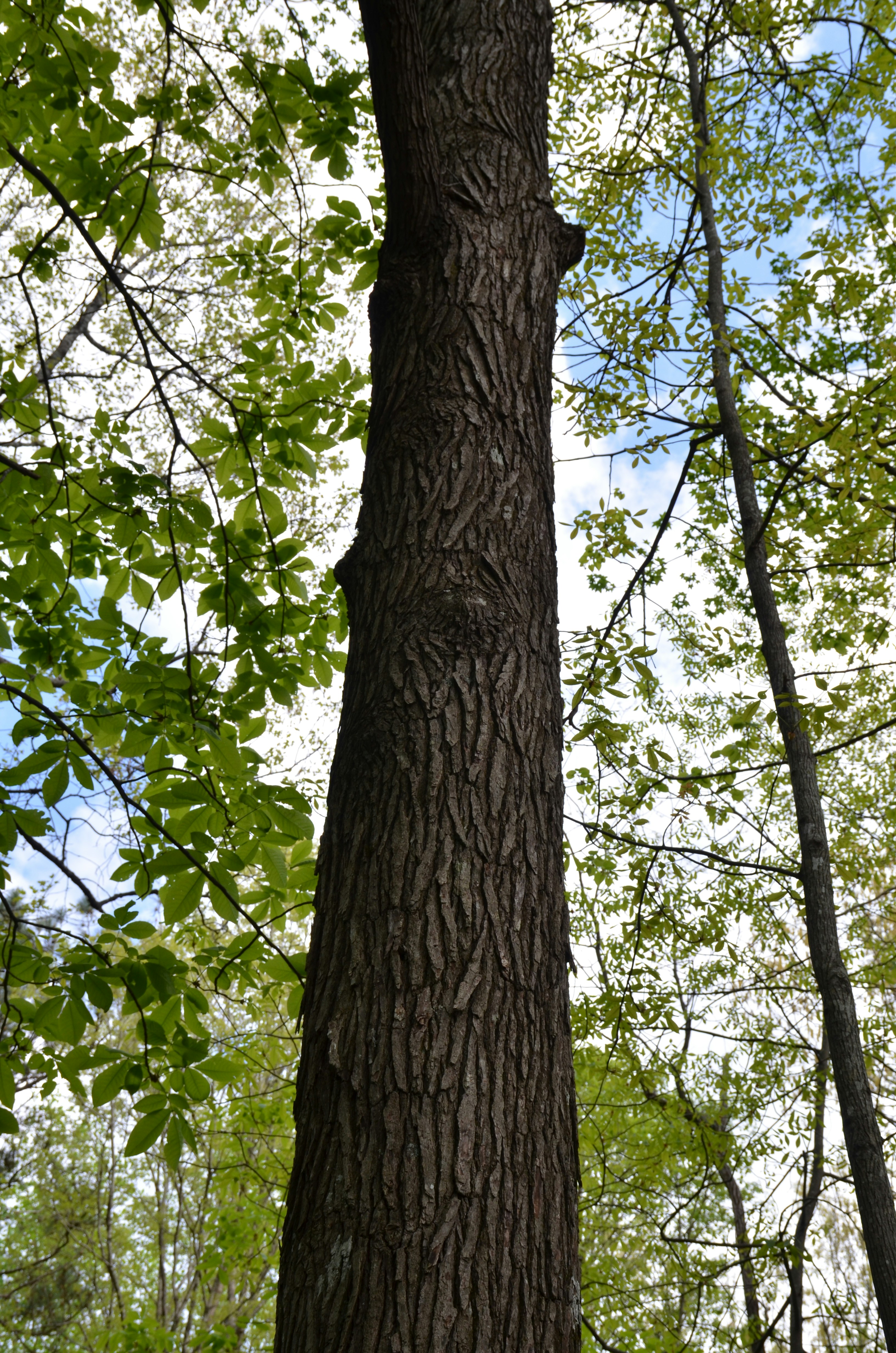 Photo by david_young